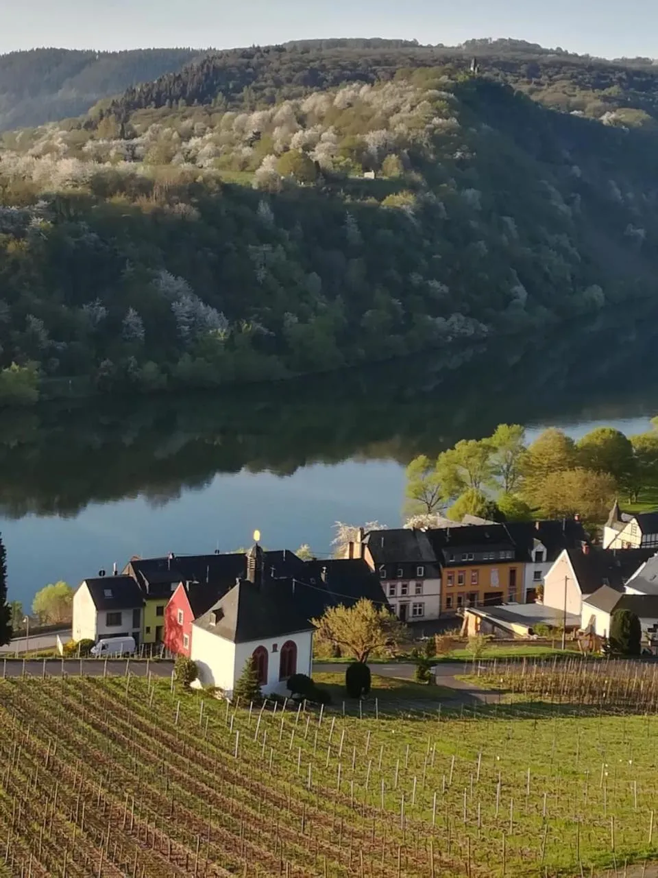 On site in Der Weinladen