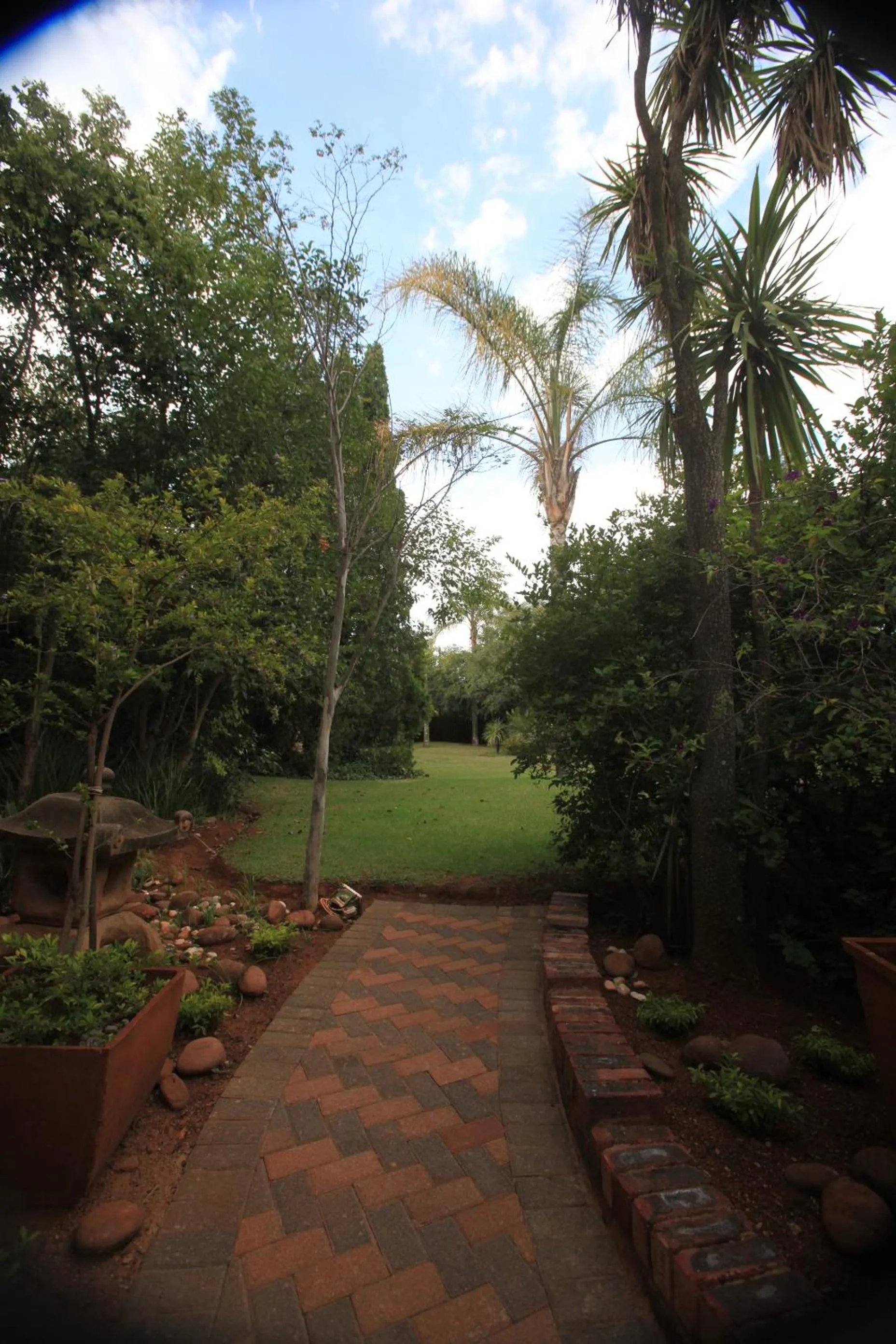 Garden in Andante Lodge