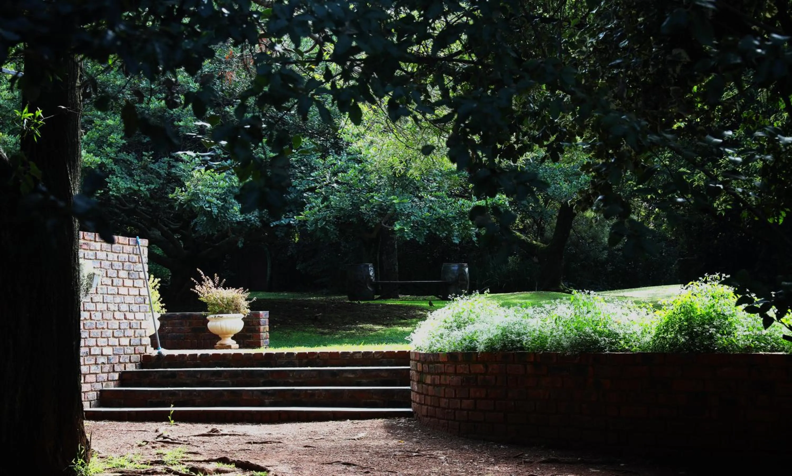 Day in Andante Lodge