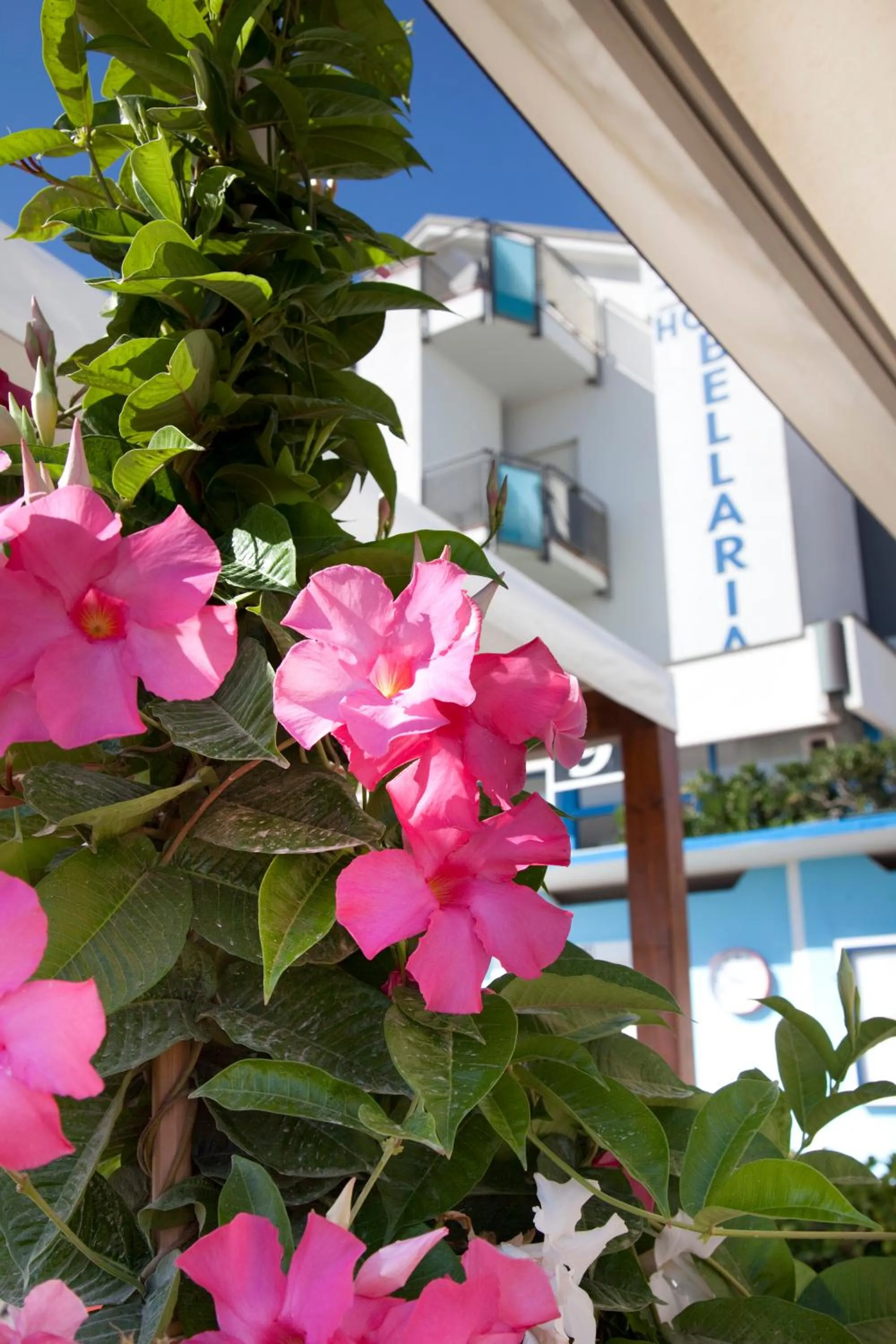 Property building in Hotel Bellaria