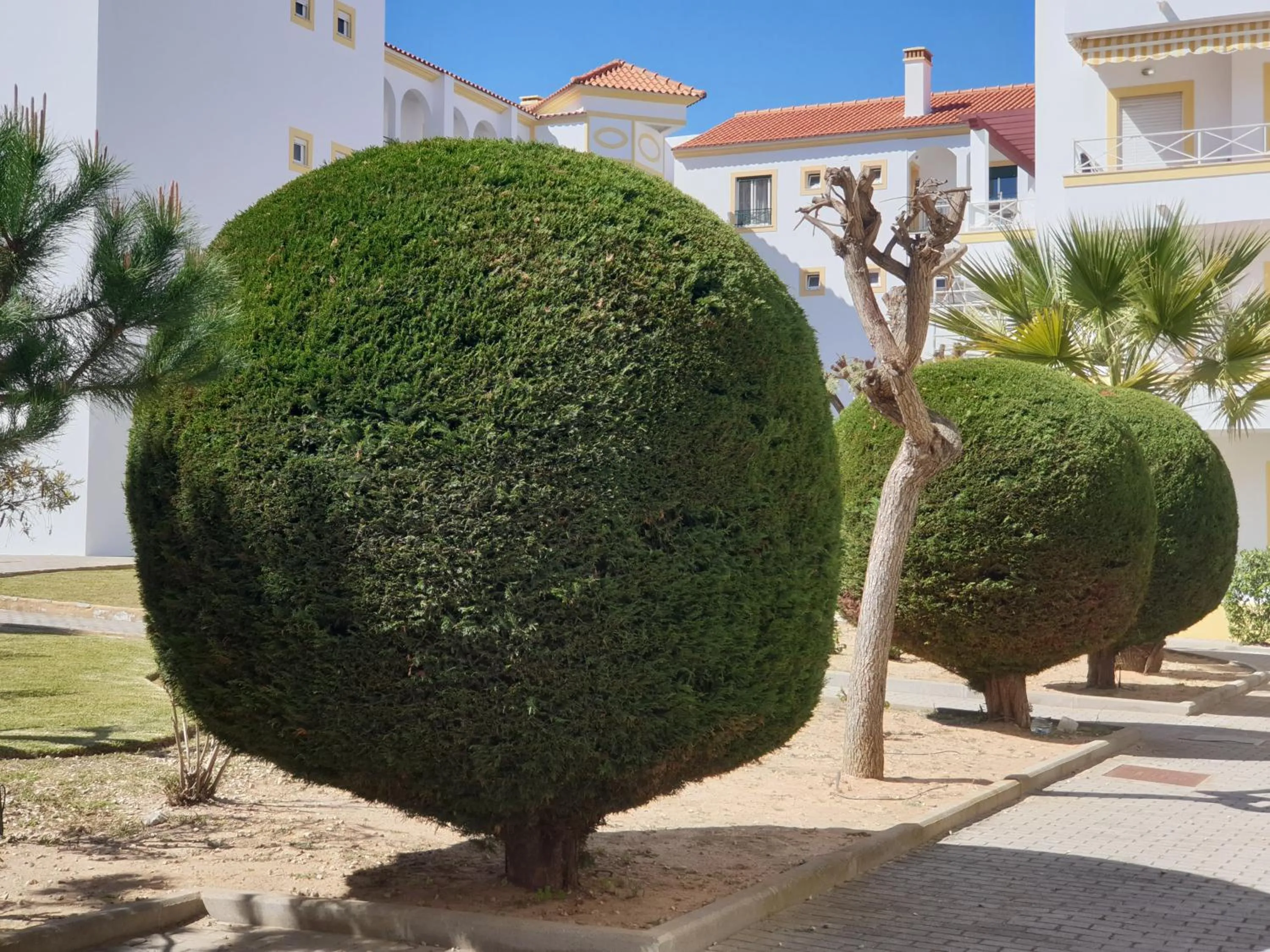 Decorative detail in Albufeira Falesia Beach Apartment