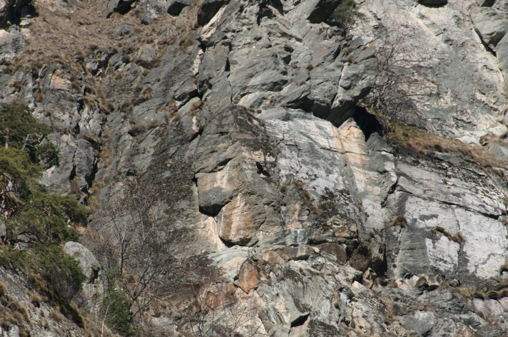 Other in Albergo La Grolla