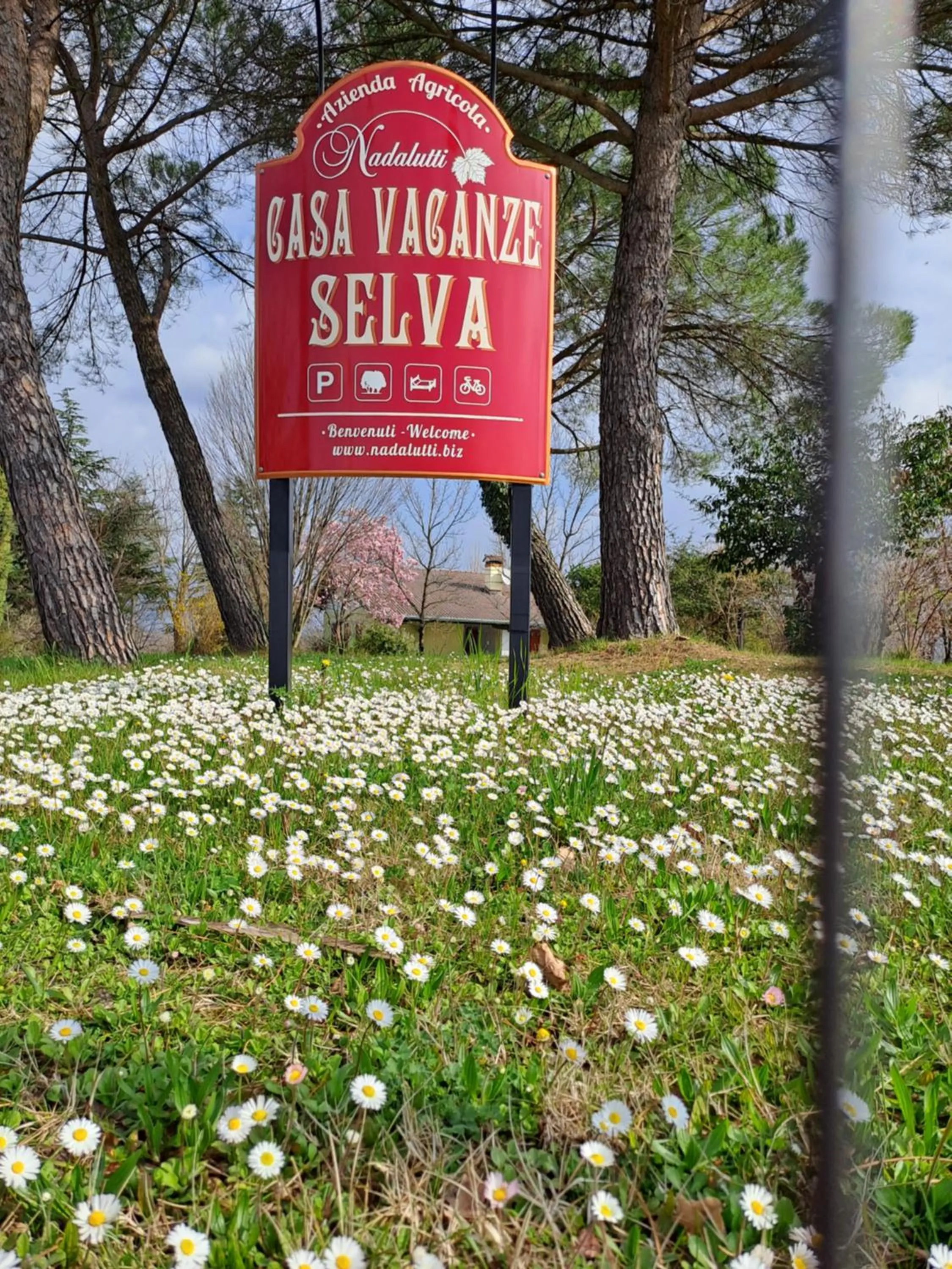 Casa Vacanze Selva