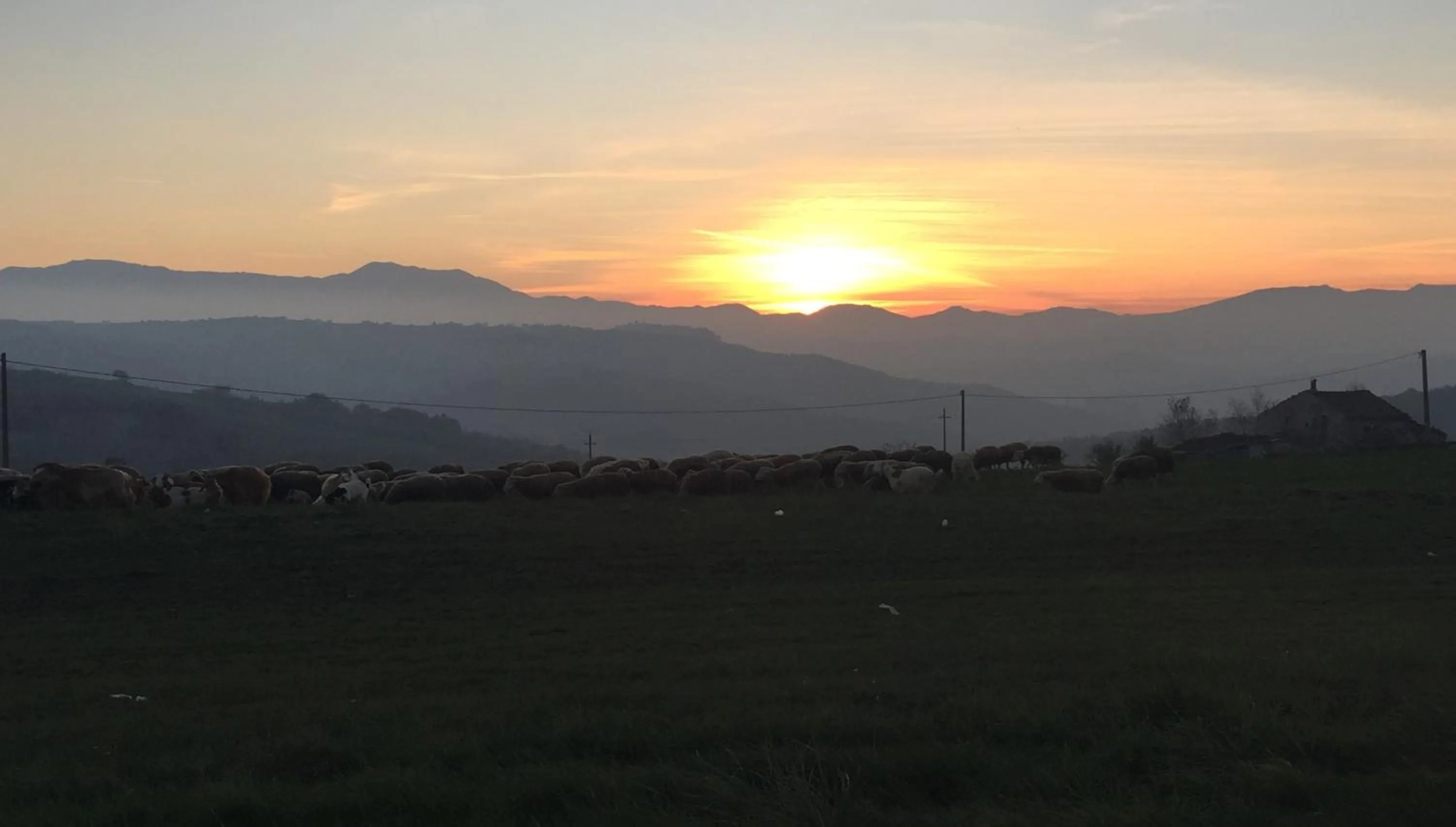 Entertainment in B&B Le Quercigliole