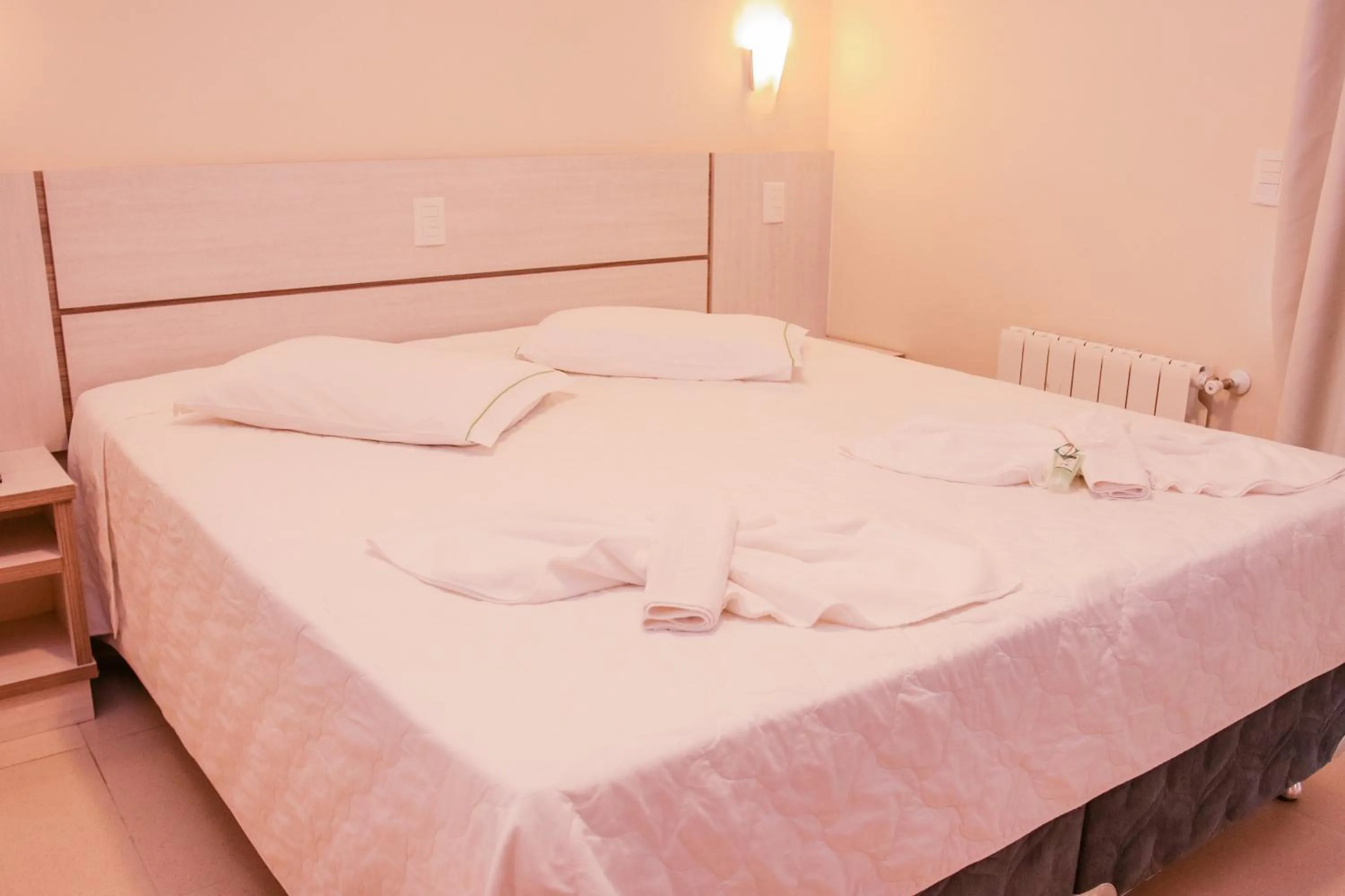 Double or Twin Room with Swimming Pool Access in Machadinho Thermas Resort SPA