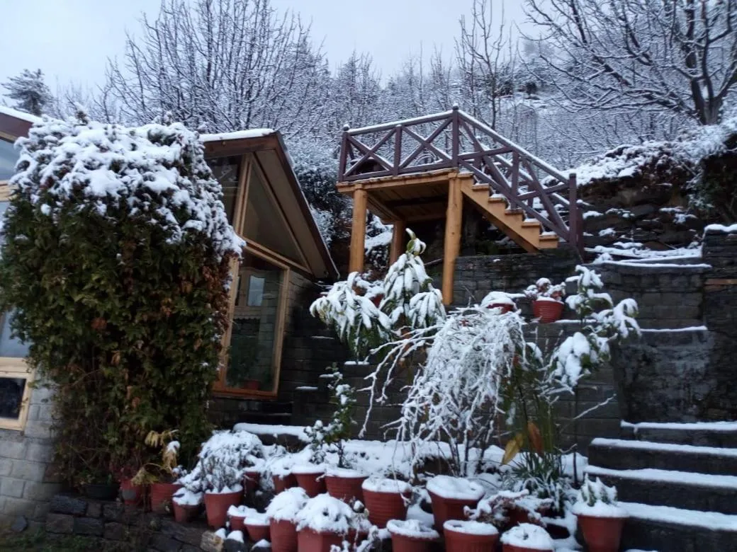 Other in Himalyan Kothi Kais