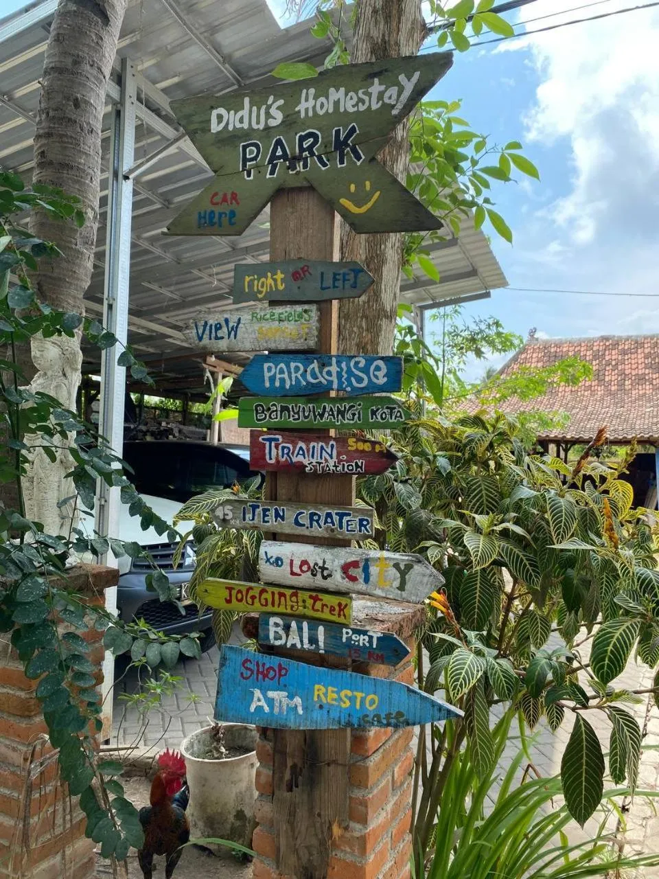 Day in Didu's Homestay Bed & Breakfast