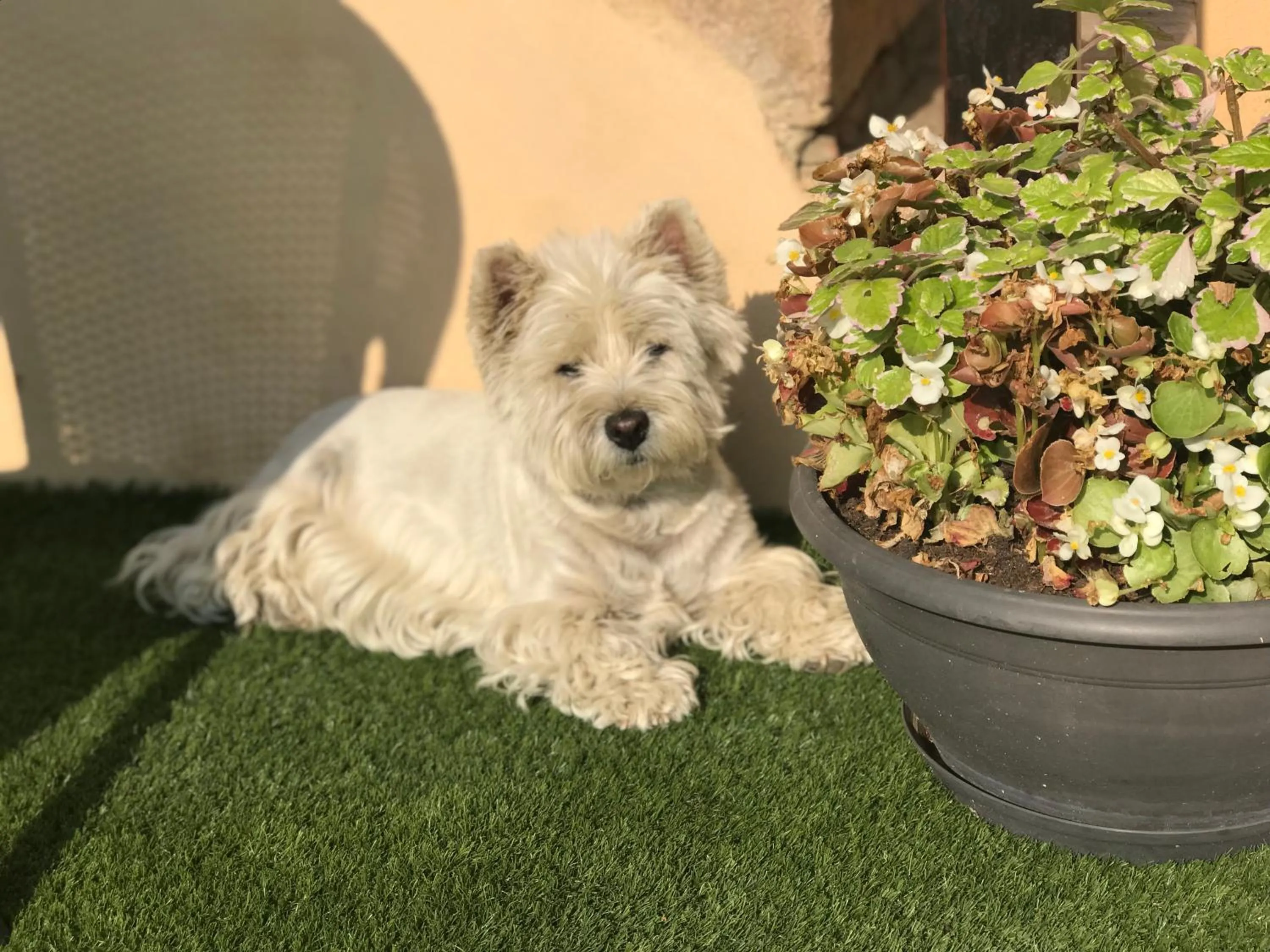 Property building in HOSTELLERIE DES BICHONNIERES
