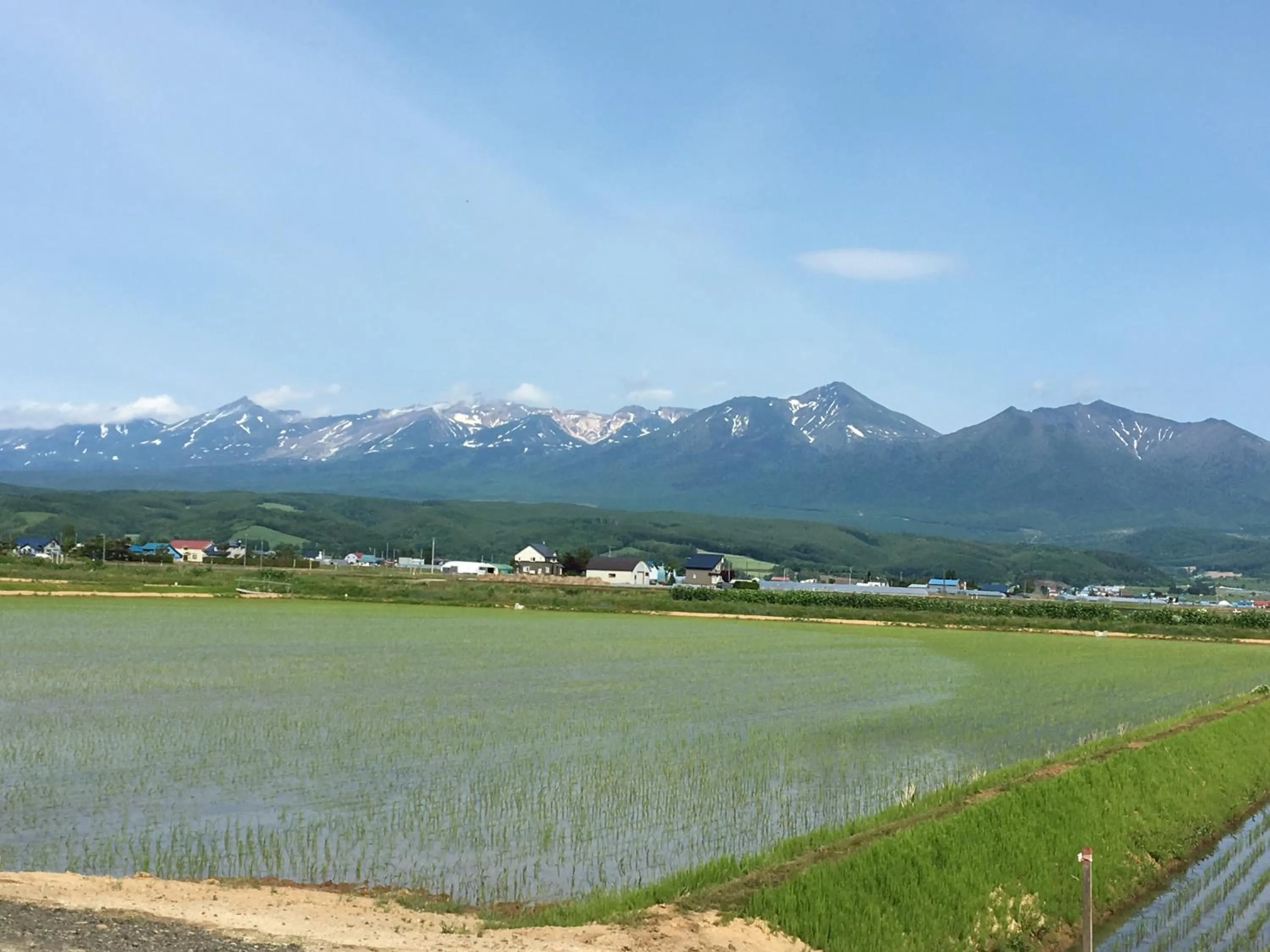 Petit Hotel Blanc Fleur