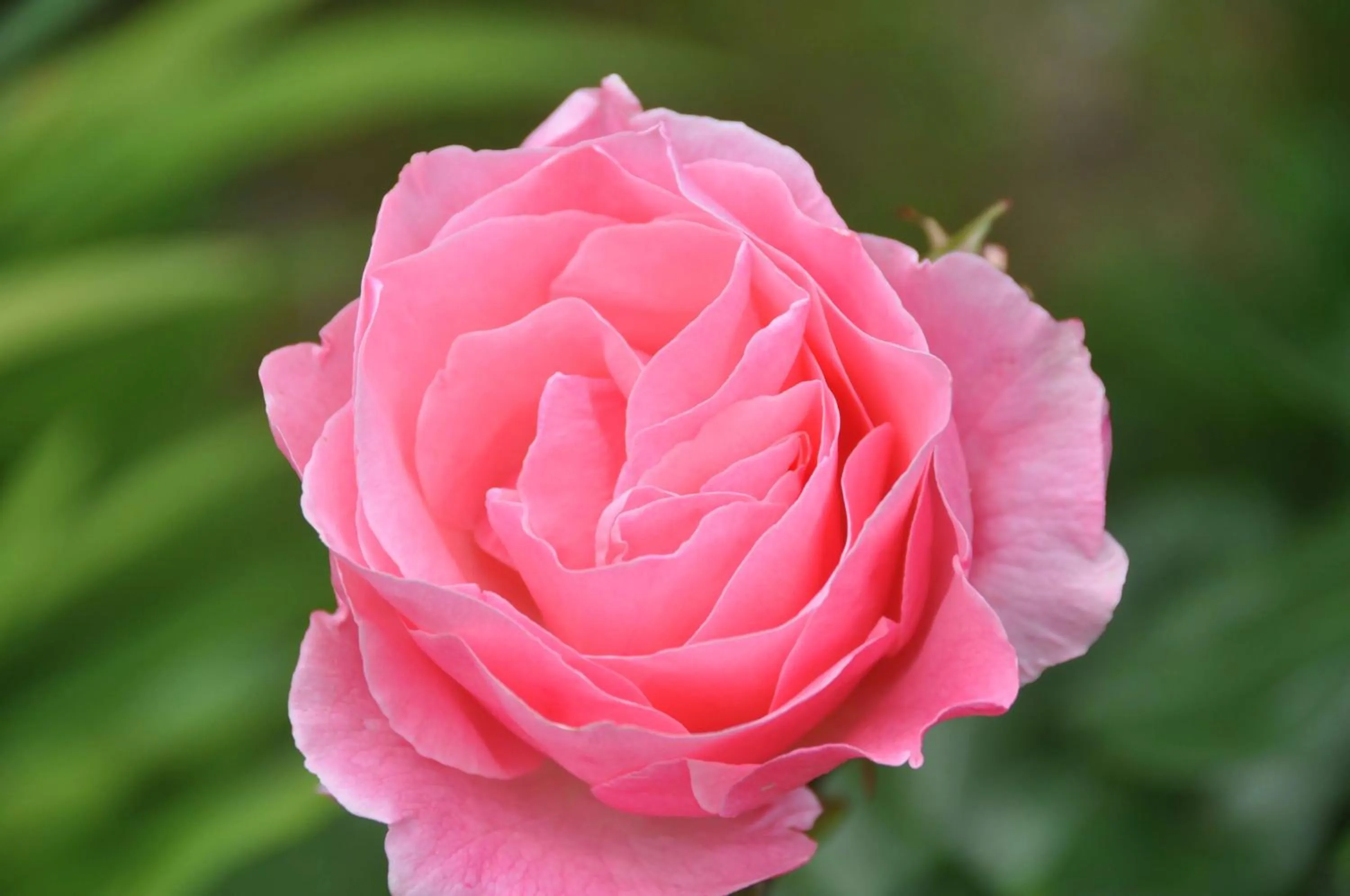 View (from property/room) in Casas Vale Martinho