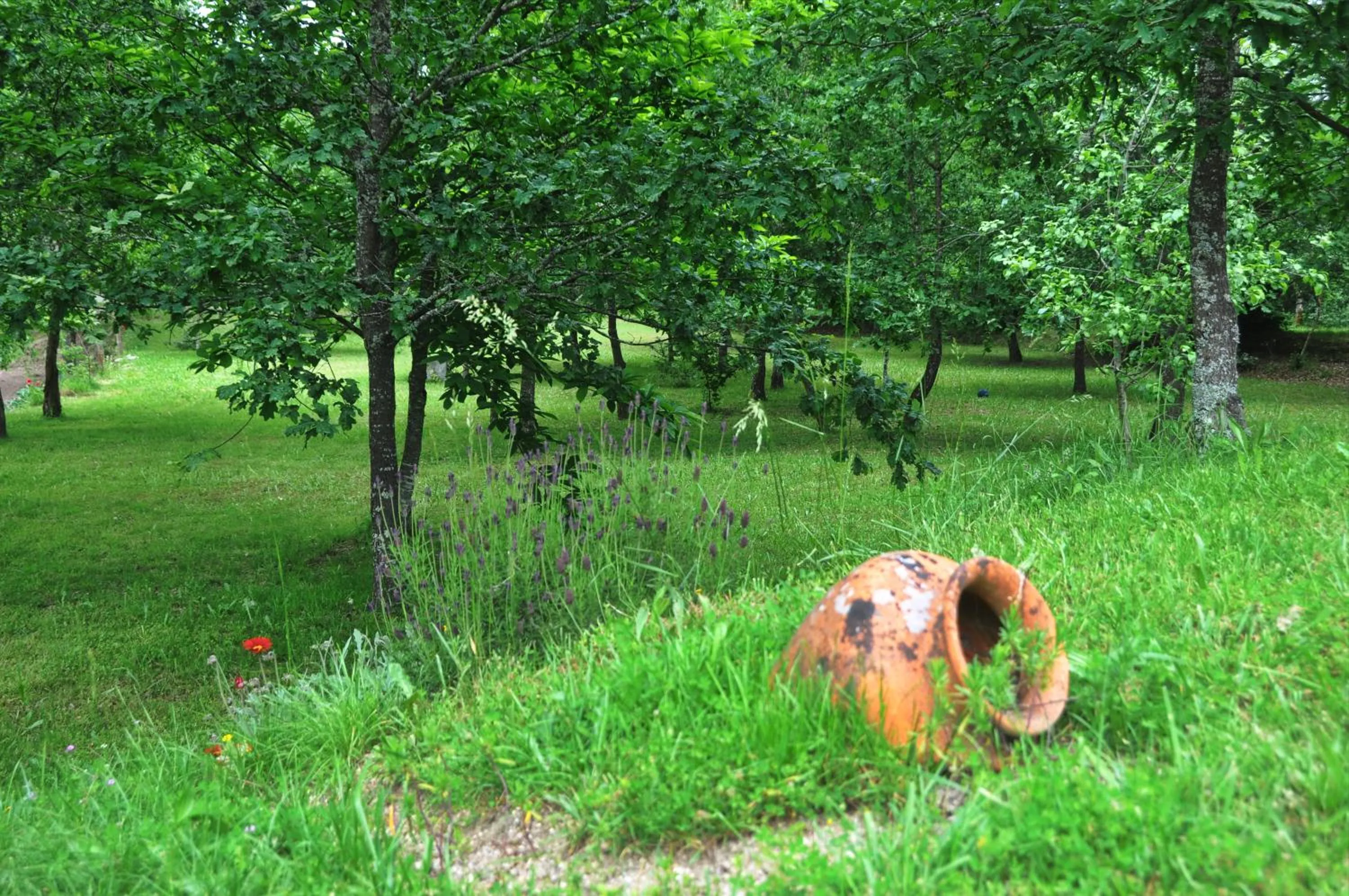 View (from property/room) in Casas Vale Martinho