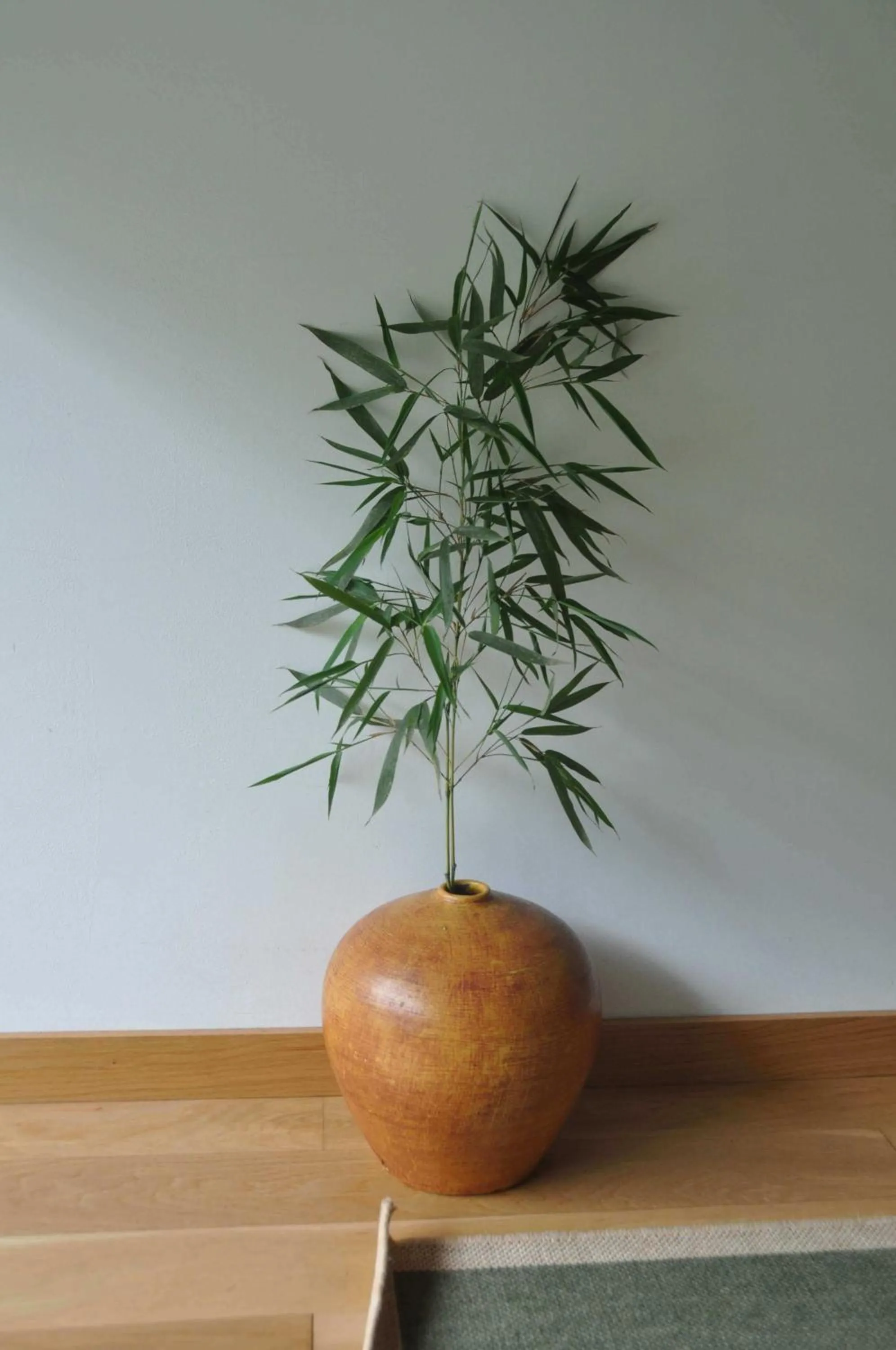 View (from property/room) in Casas Vale Martinho