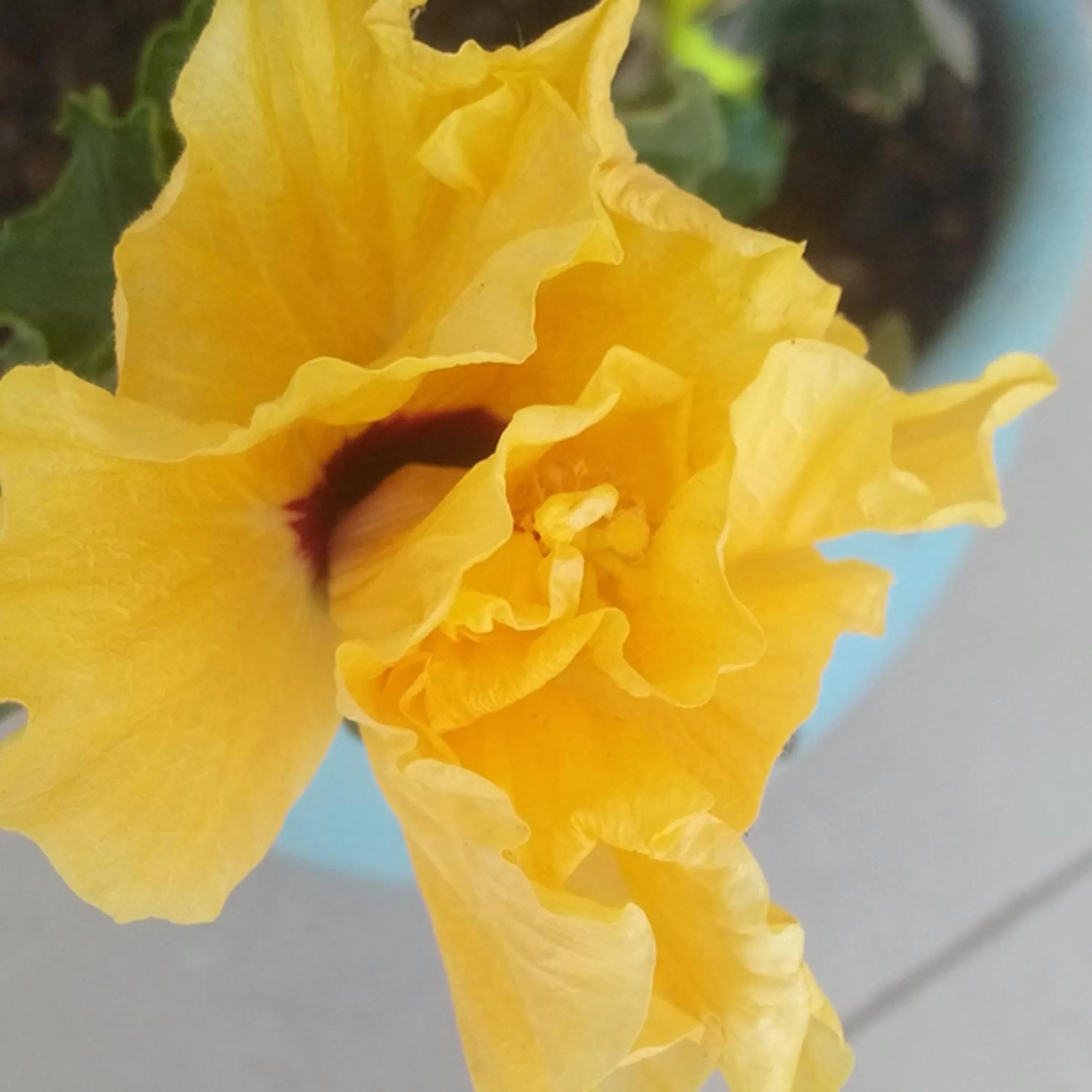 Property building in Geyikli Berfin Otel