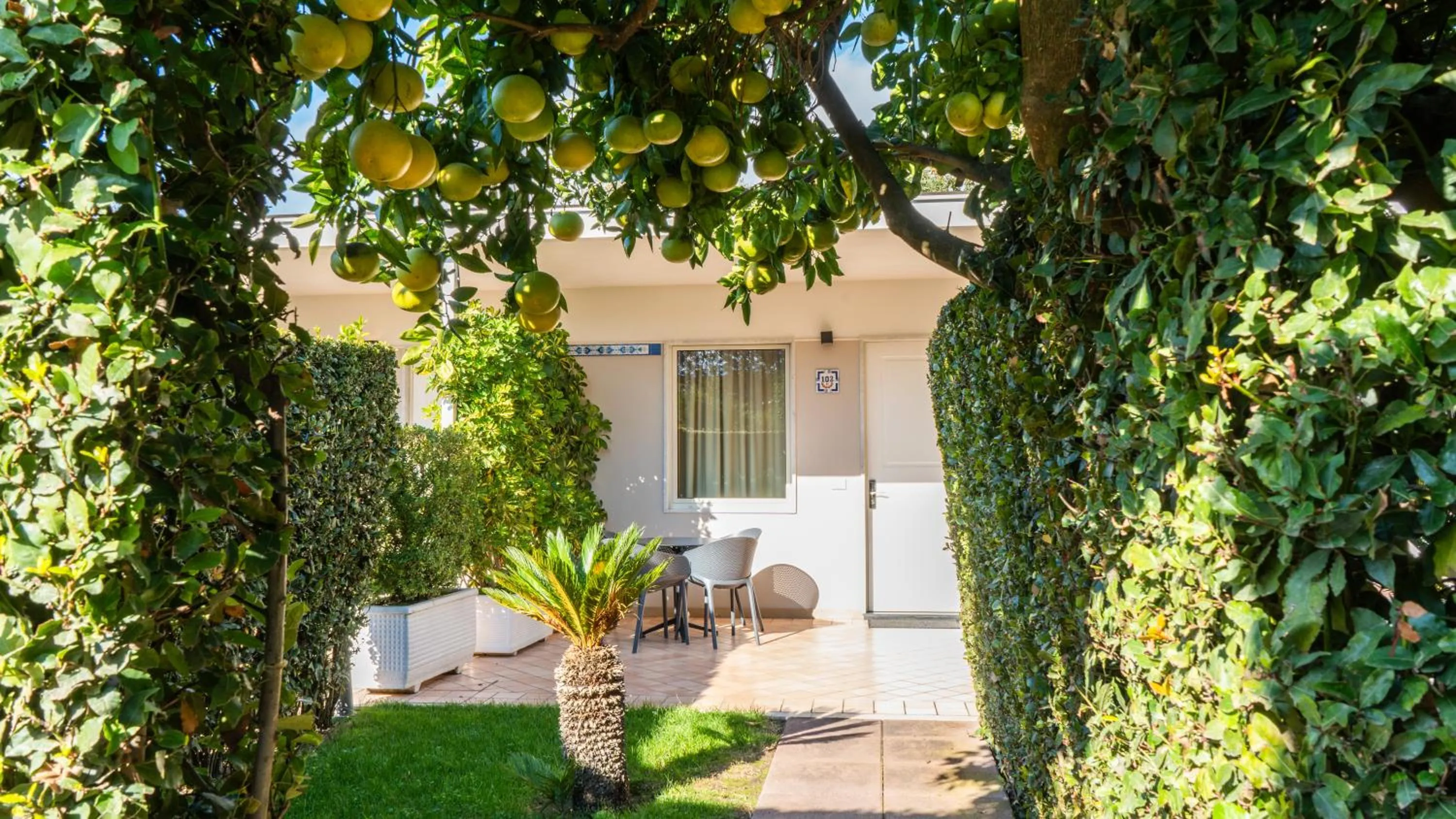 Garden view in Resort & Winery Bosco De Medici