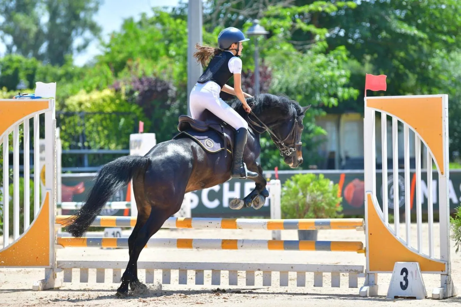 Activities in Resort & Winery Bosco De Medici