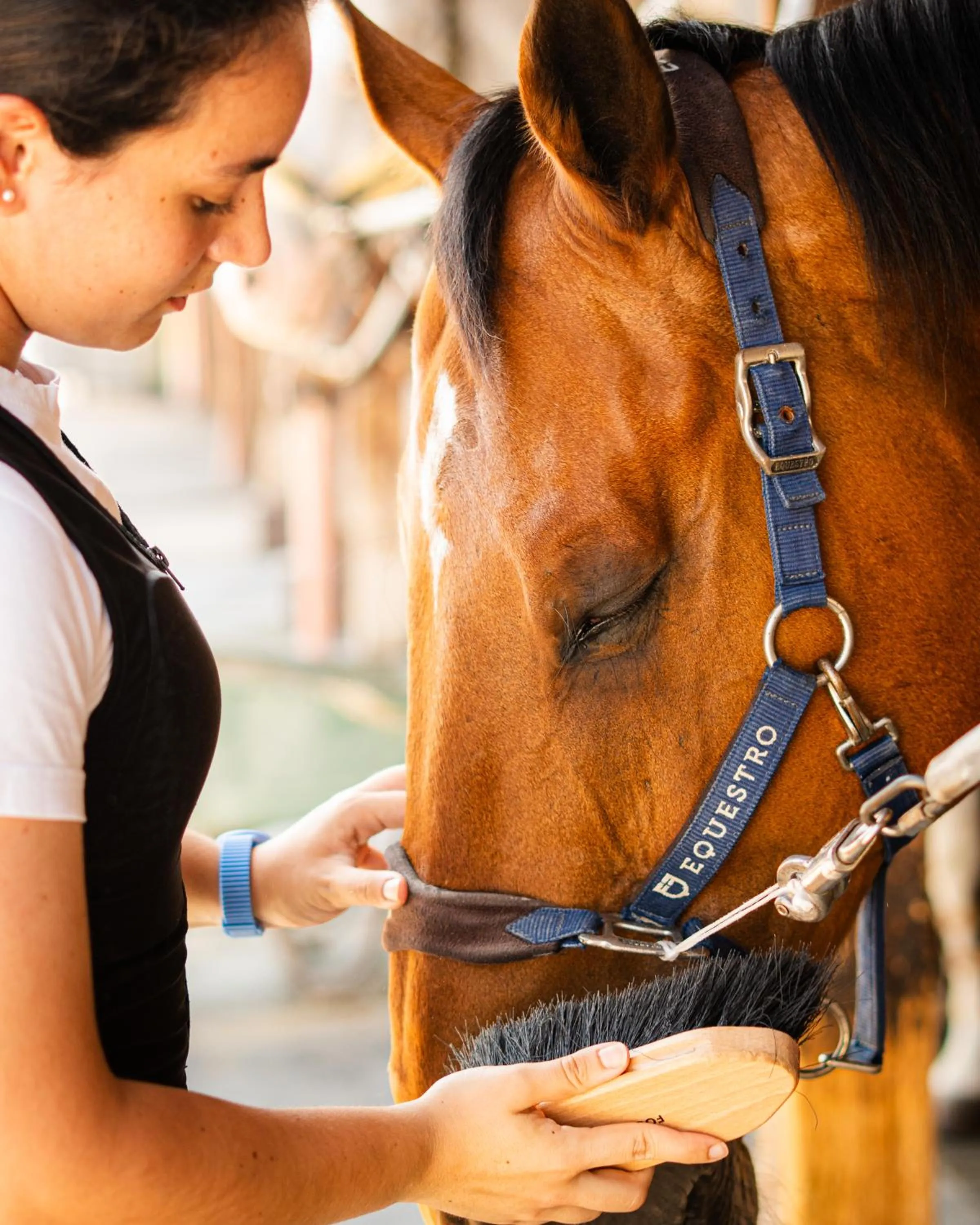 Activities in Resort & Winery Bosco De Medici