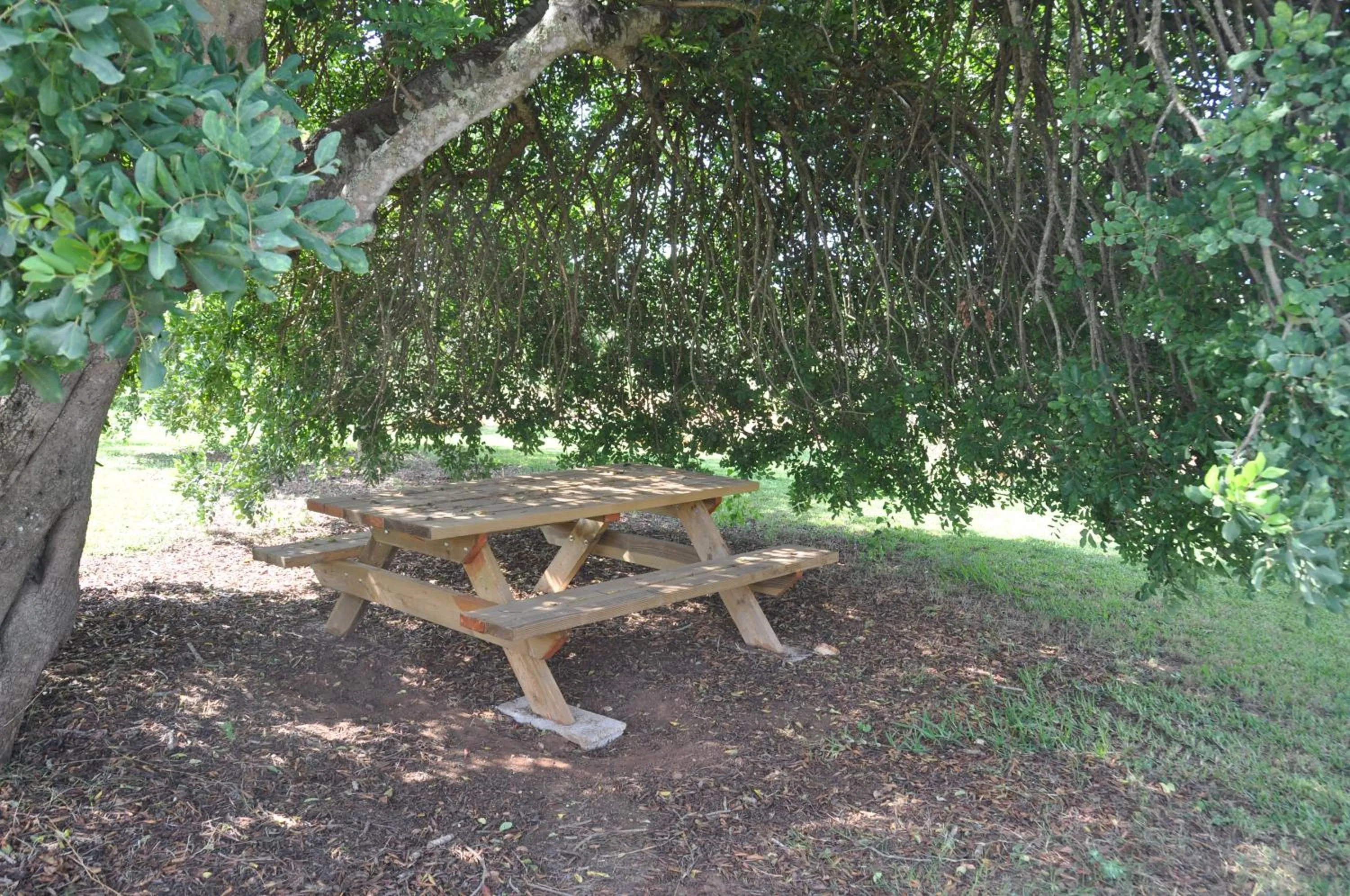 Garden in Can Porretí Agroturisme