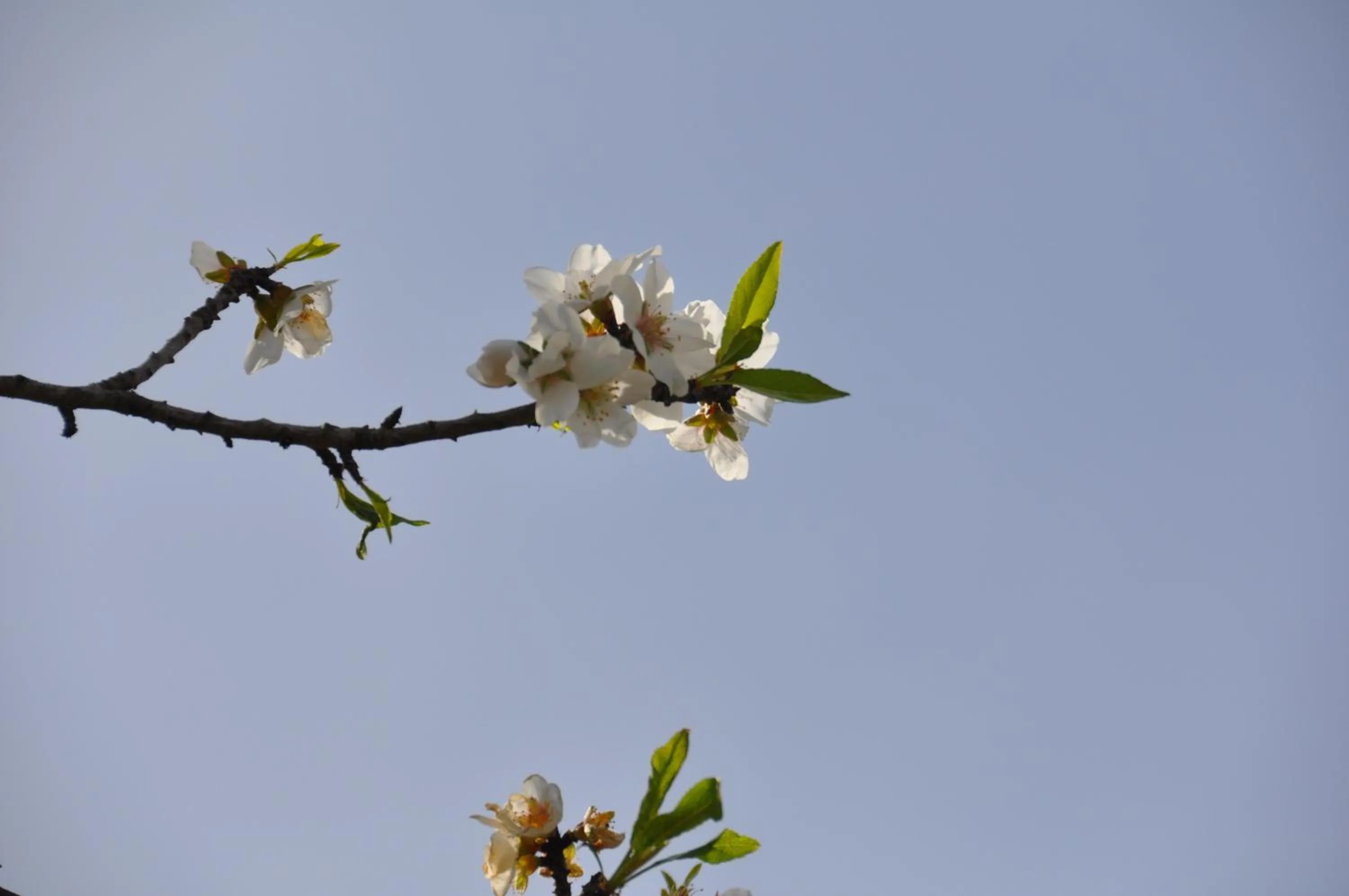 Natural landscape in Can Porretí Agroturisme