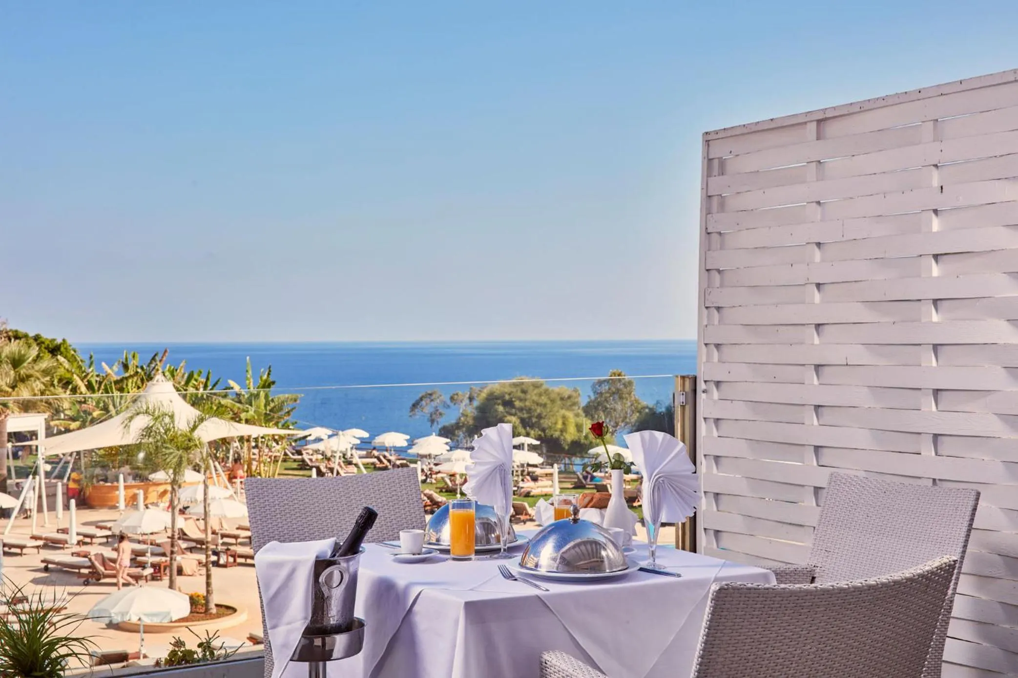 Food in Grecian Park