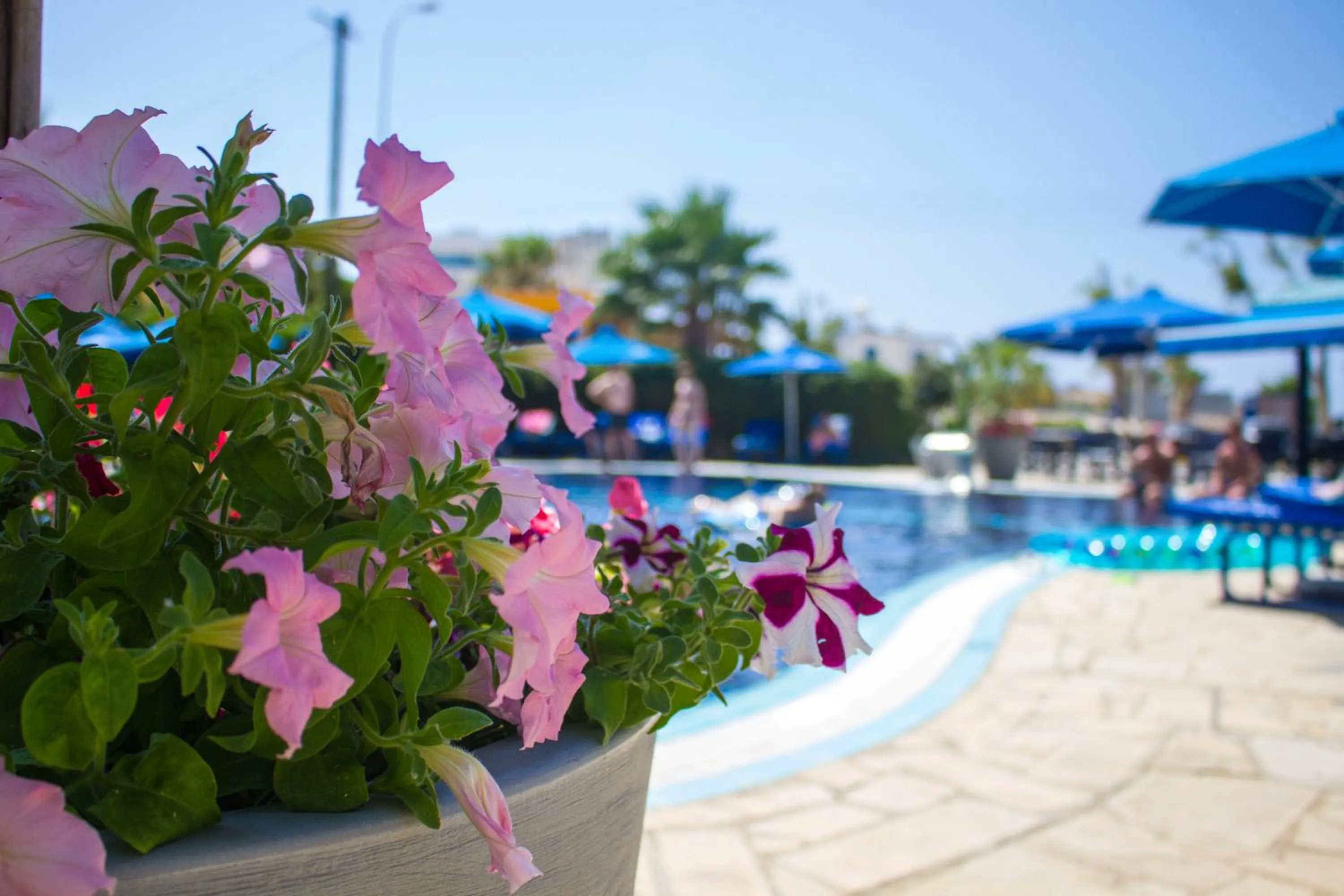 Garden in Anonymous Beach Hotel (Adults 16+)