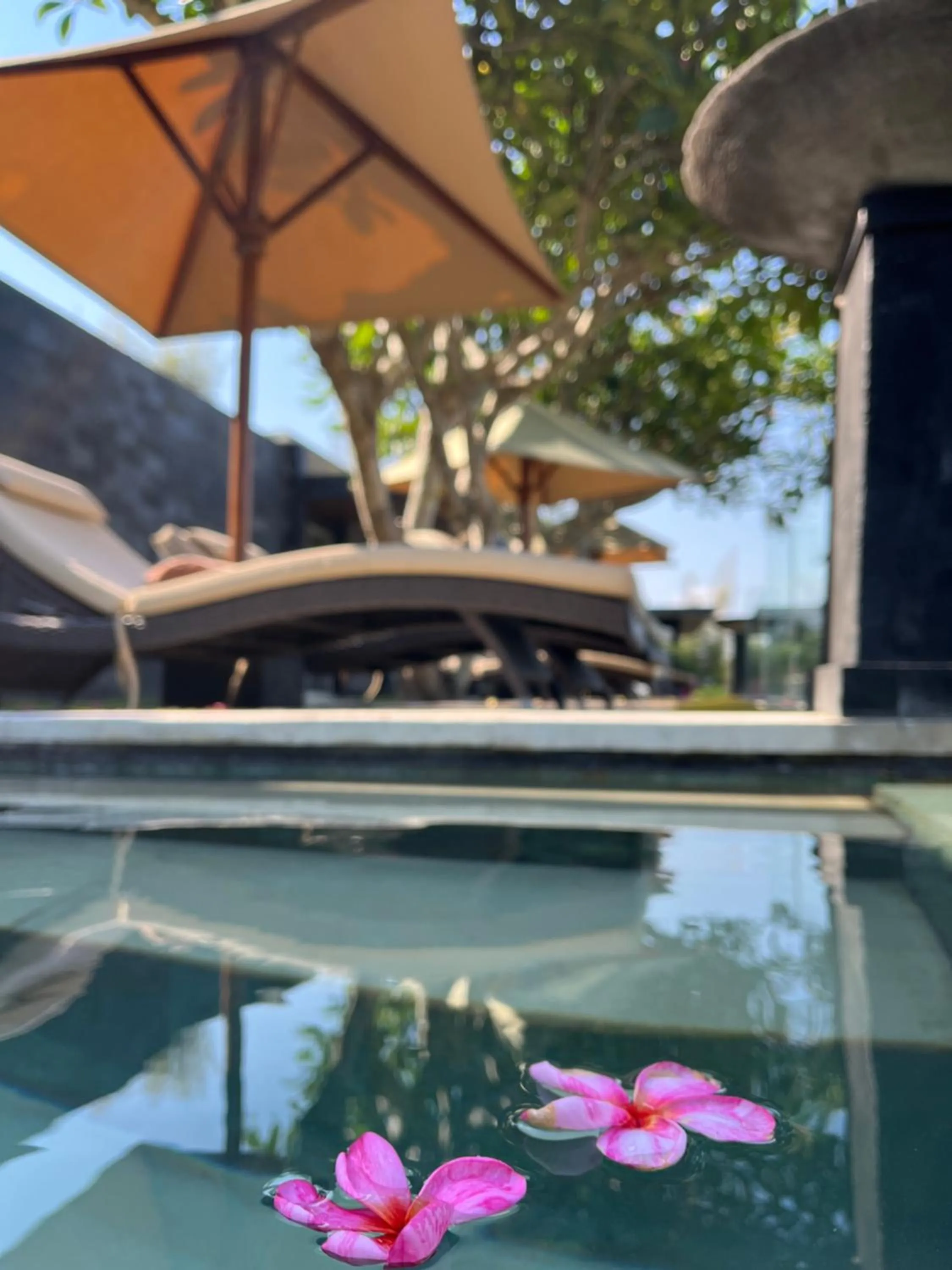 Pool view in The Puncak Lombok