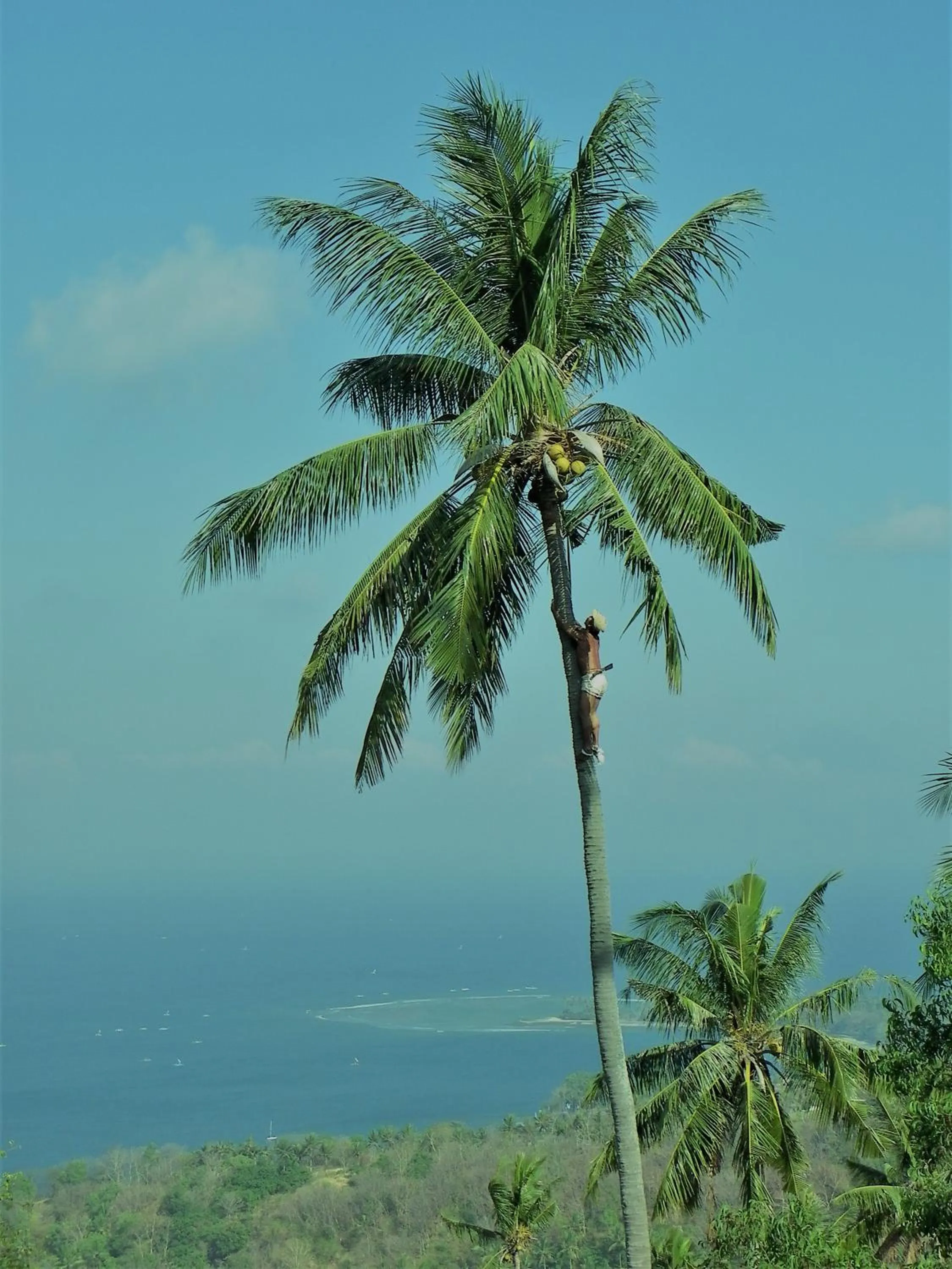 Staff in The Puncak Lombok