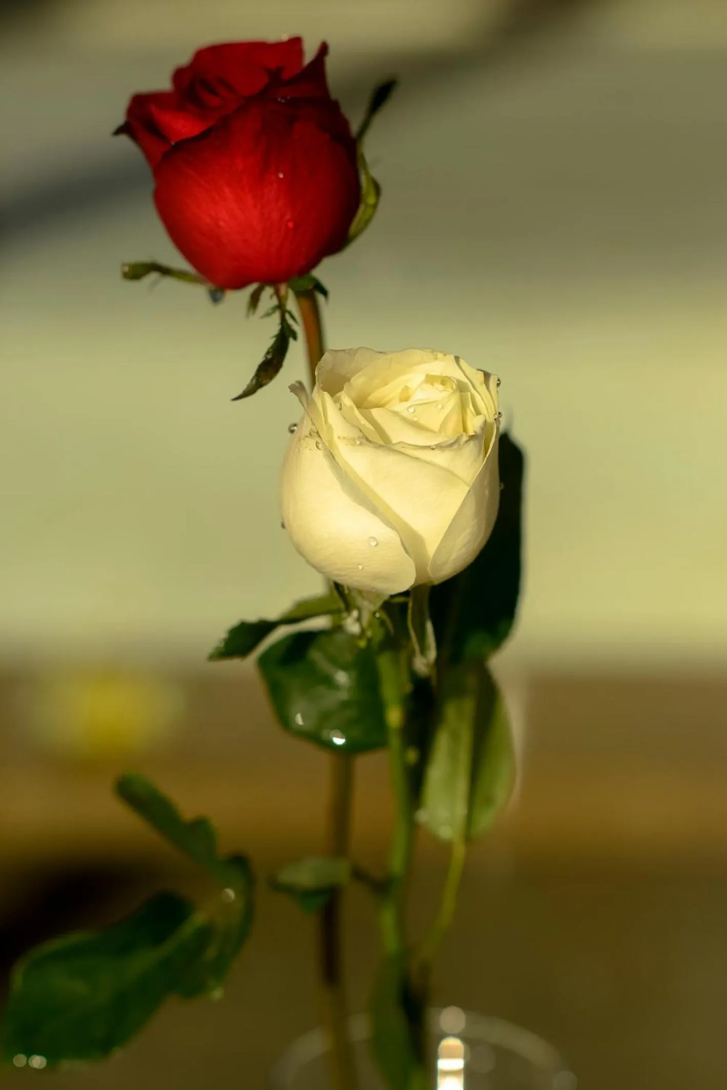 View (from property/room) in The Puncak Lombok