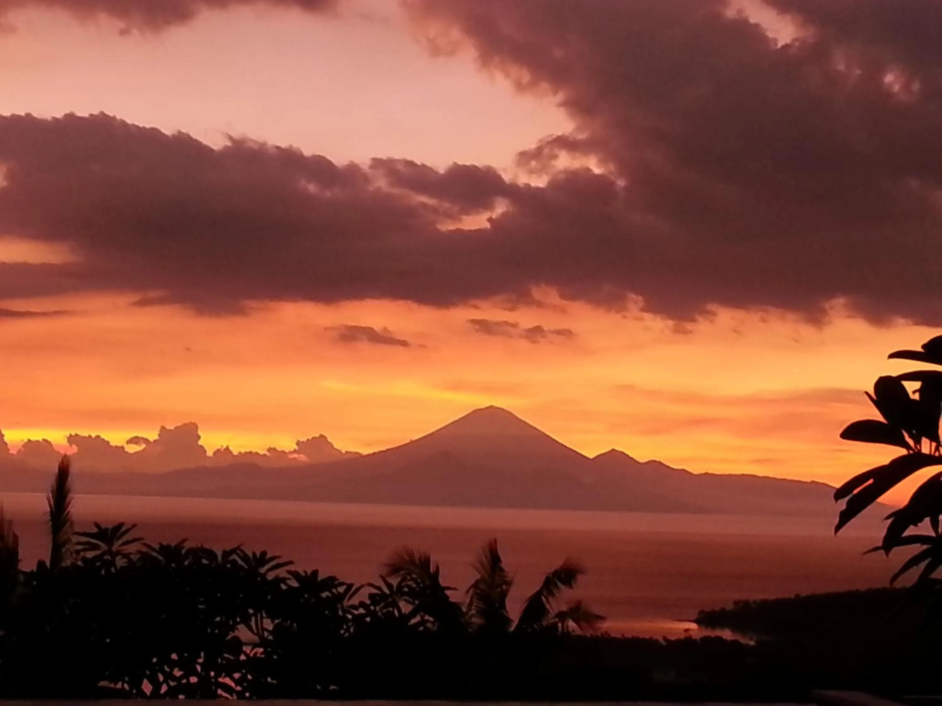 View (from property/room) in The Puncak Lombok