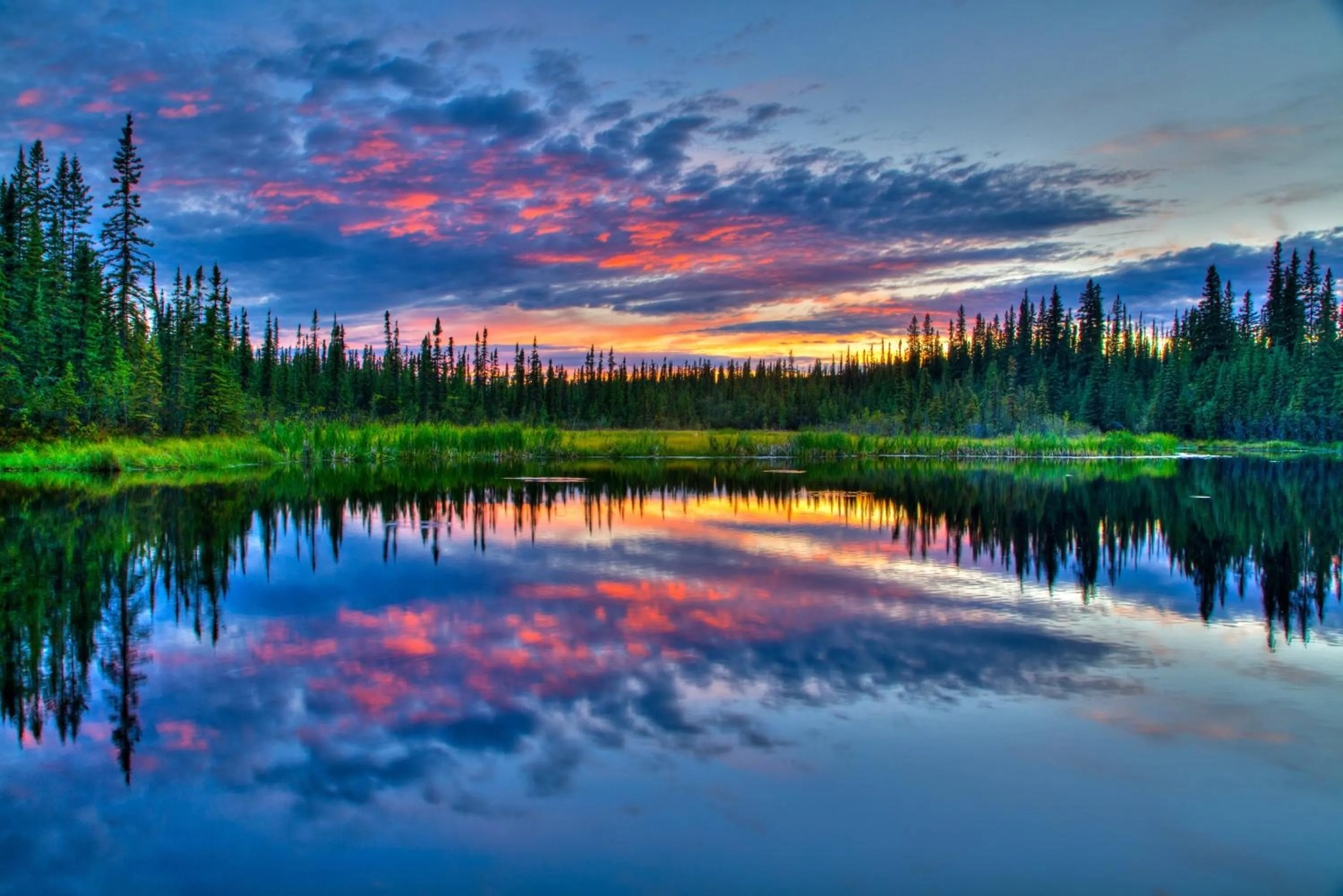 Other in Candlewood Suites - Fairbanks by IHG