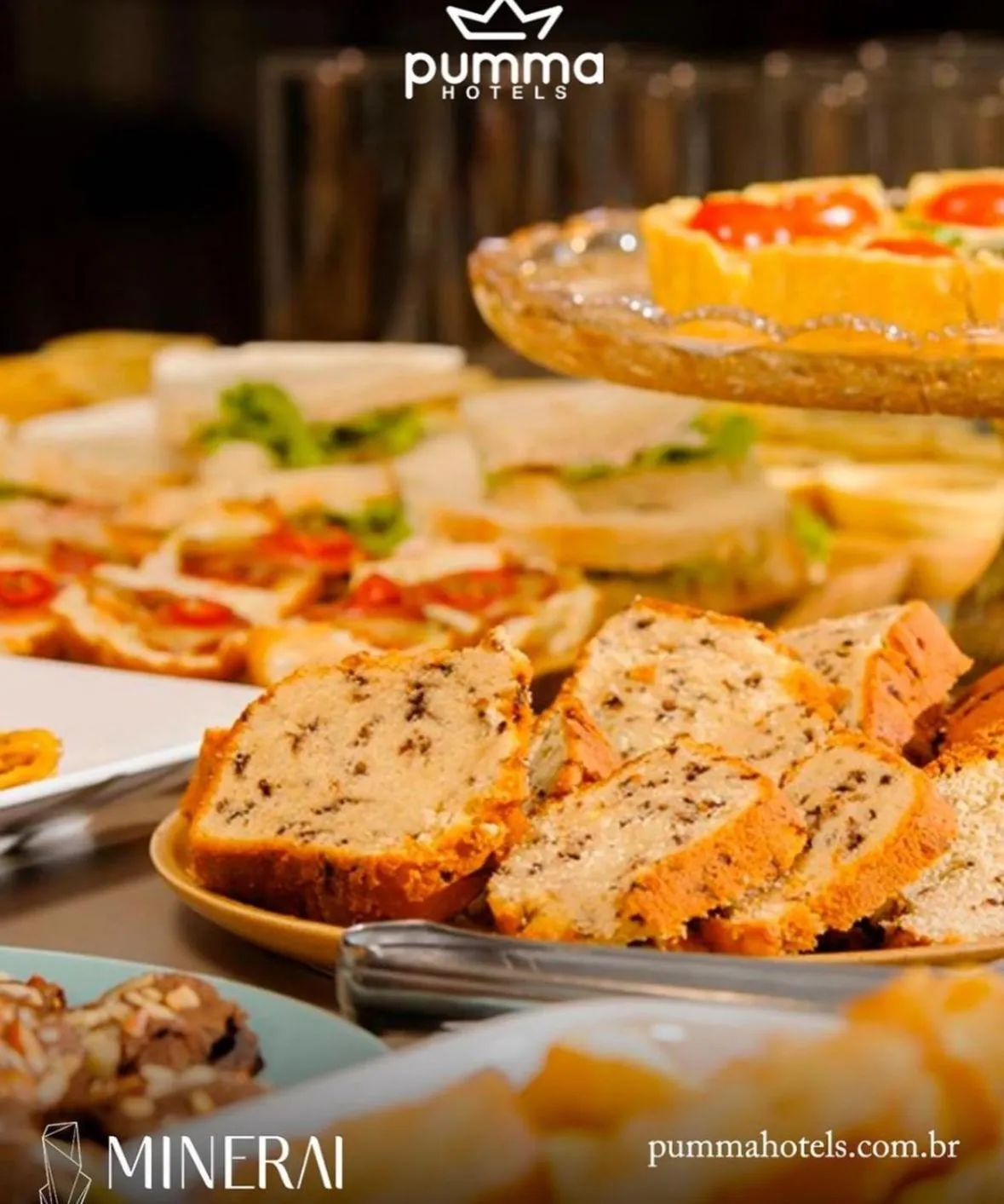 Food in Pumma Business Hotel