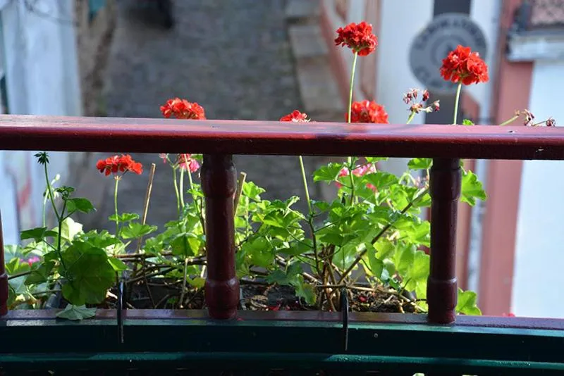 Decorative detail in Pousada Guignard