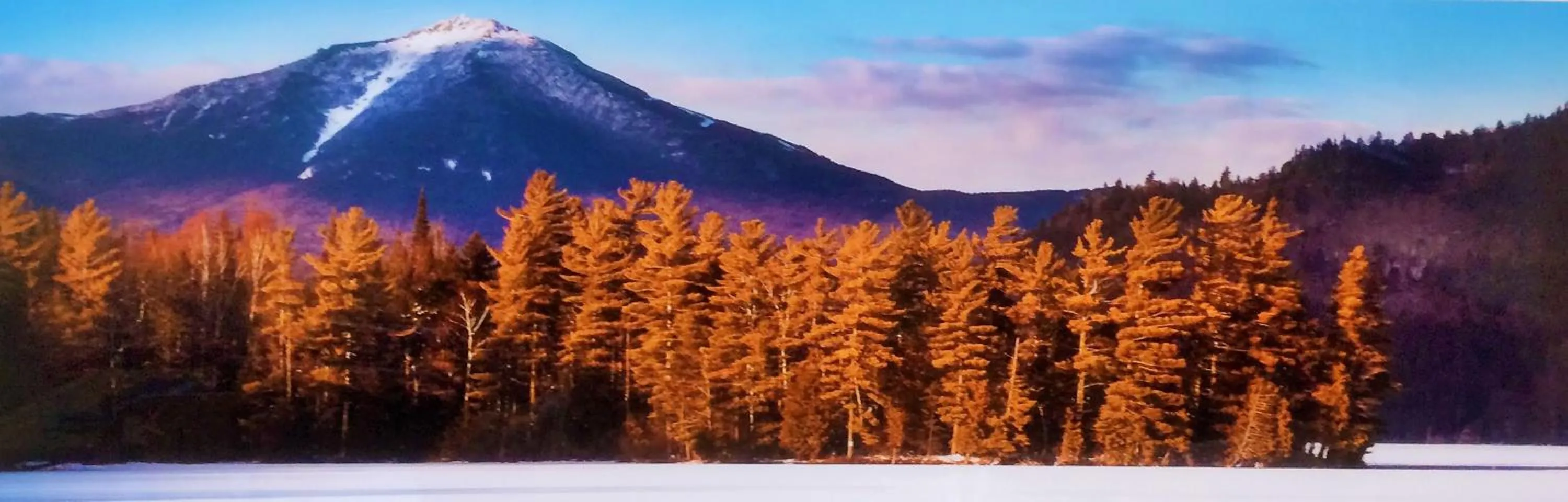 Off site in Adirondack Spruce Lodge