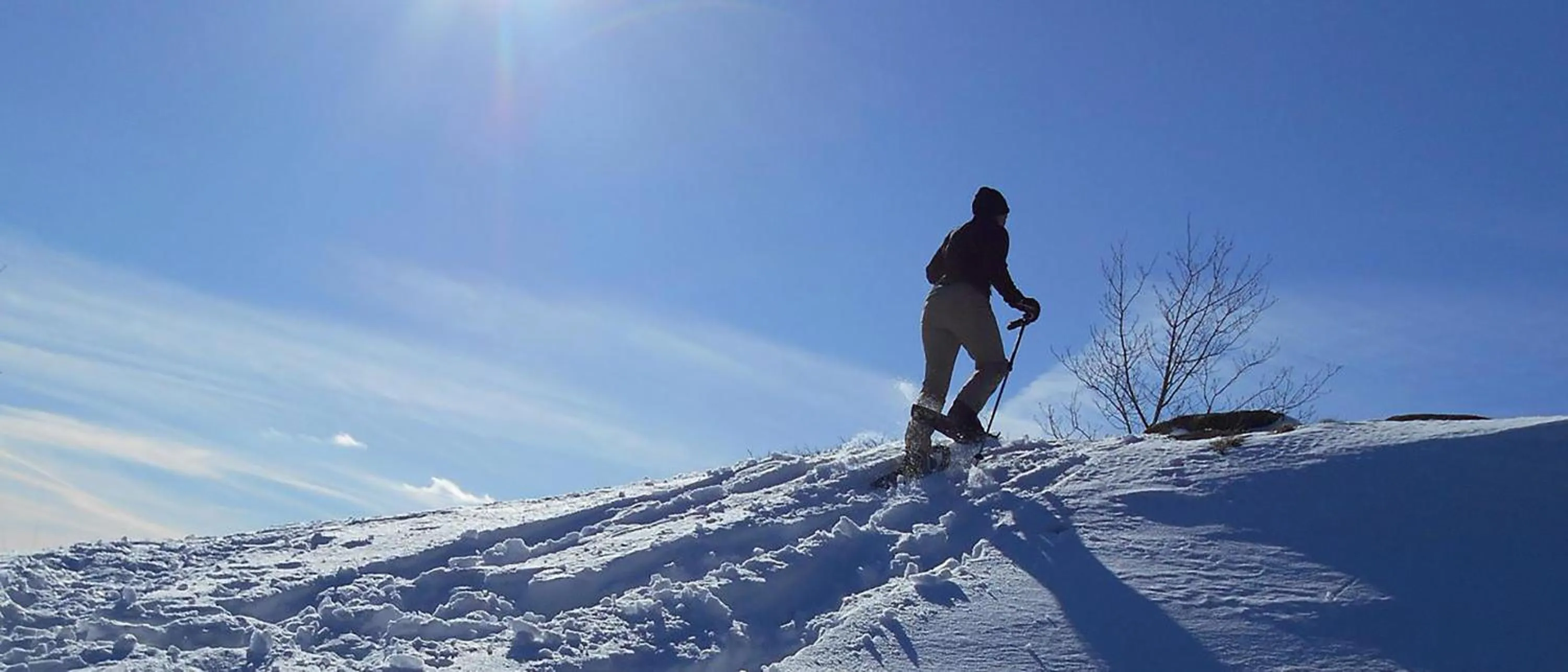 Winter in Adirondack Spruce Lodge