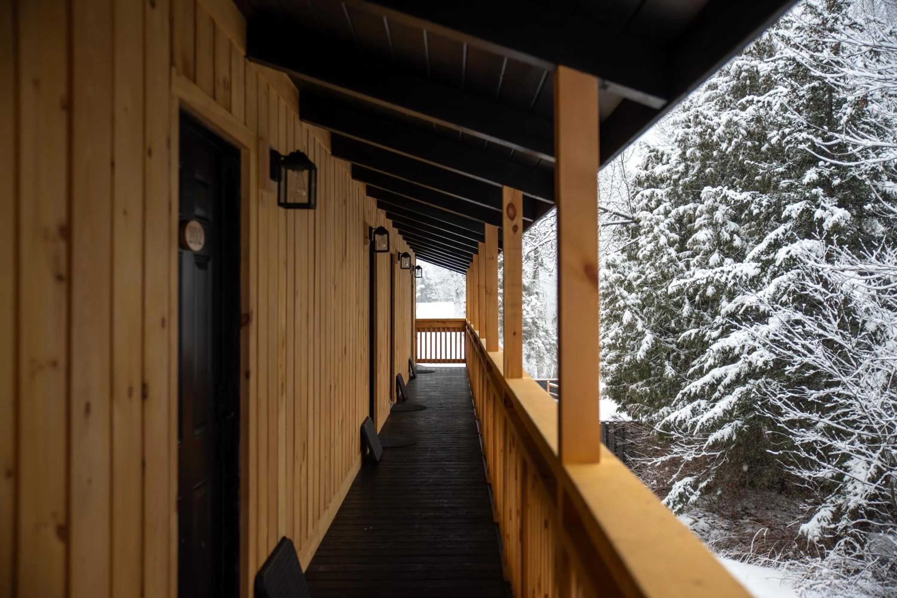 Natural landscape in Adirondack Spruce Lodge