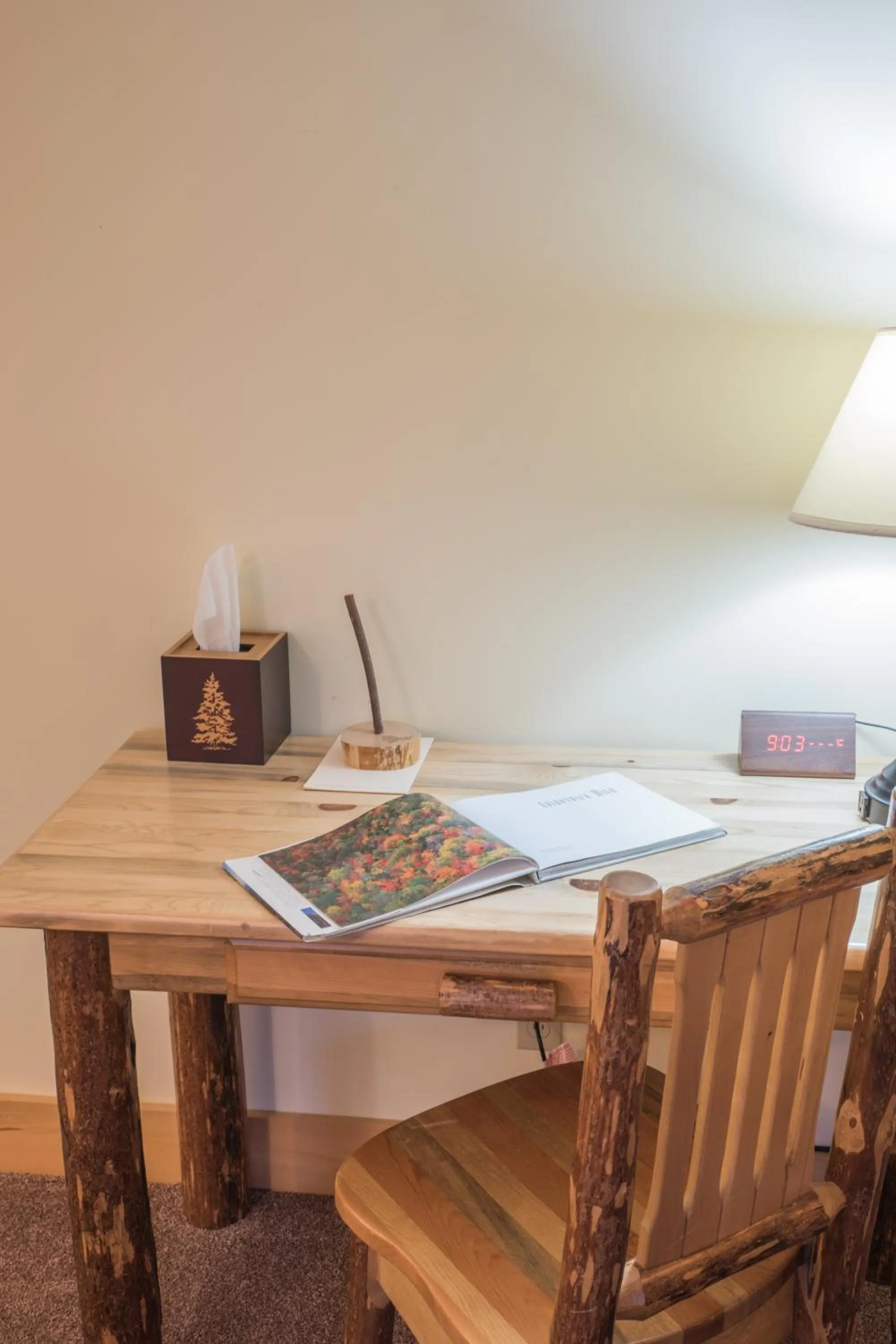 Adirondack Spruce Lodge