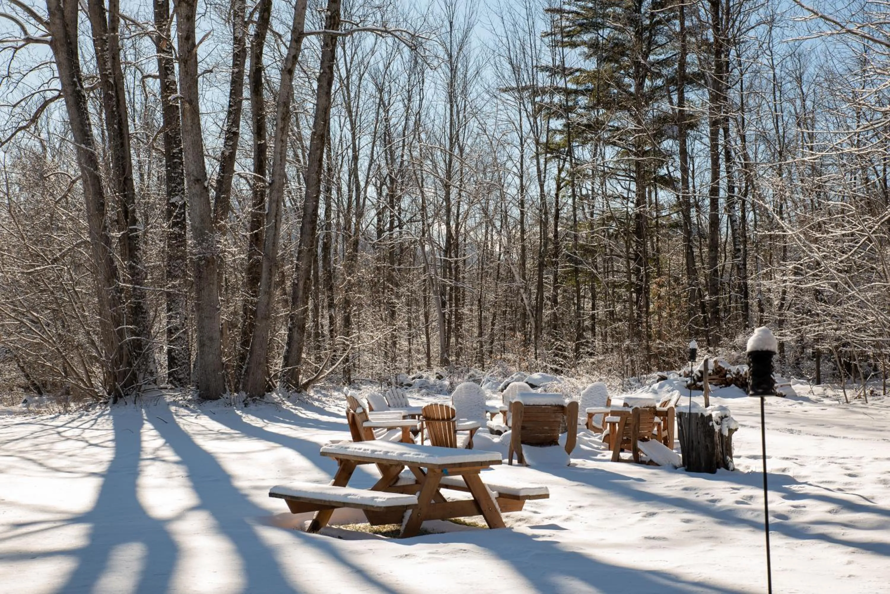 Day in Adirondack Spruce Lodge