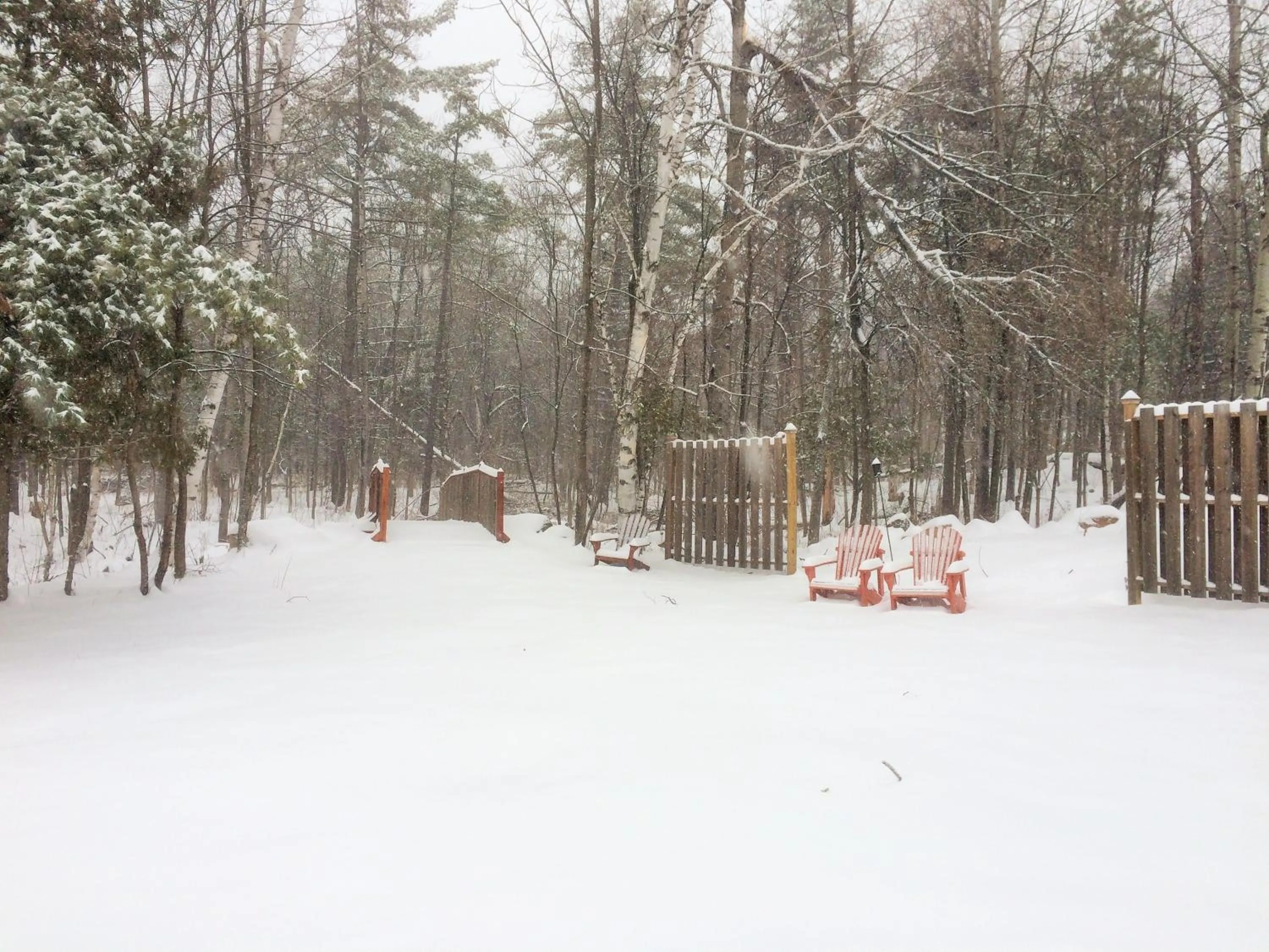 Winter in Adirondack Spruce Lodge
