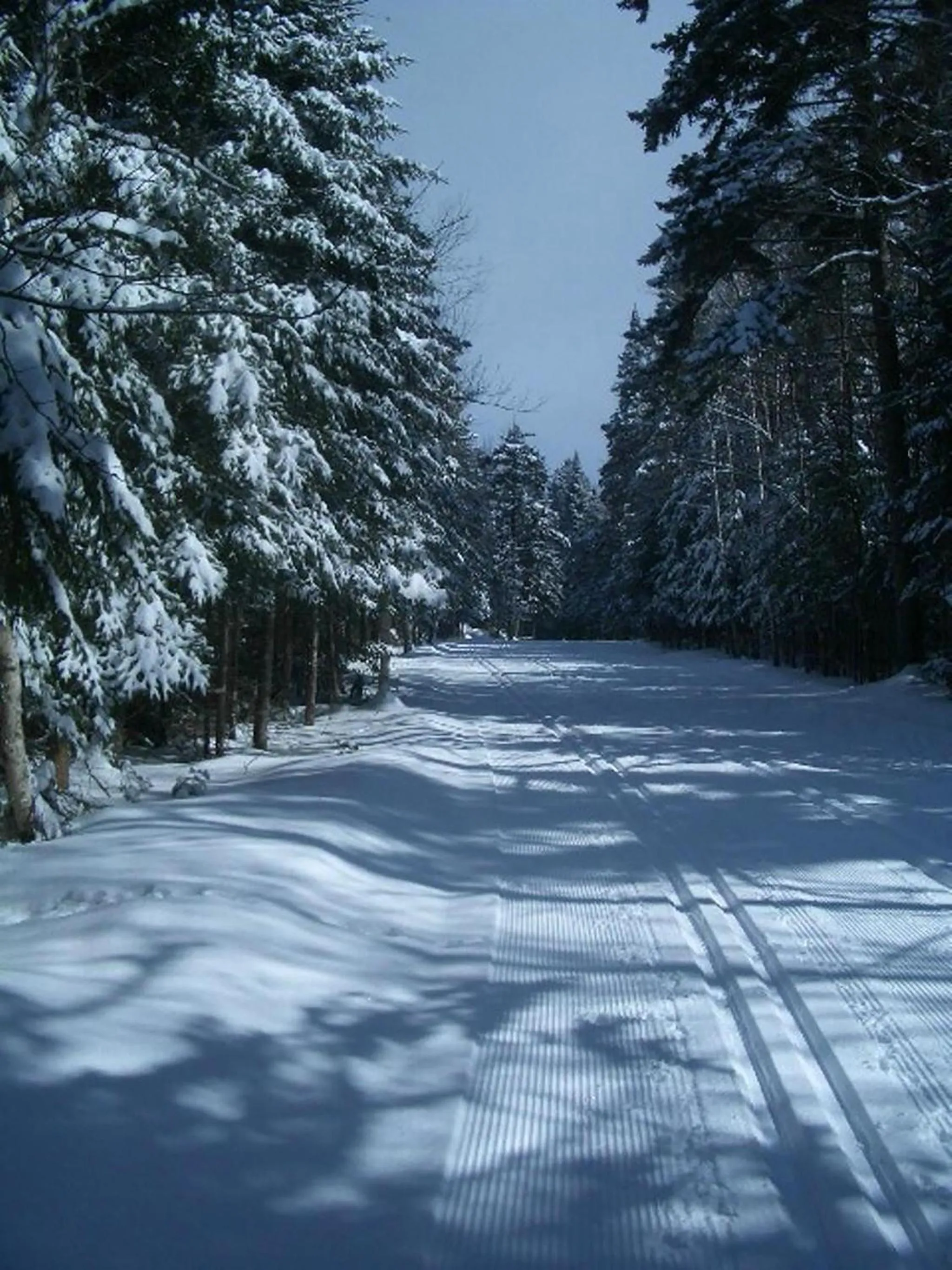 Winter in Adirondack Spruce Lodge