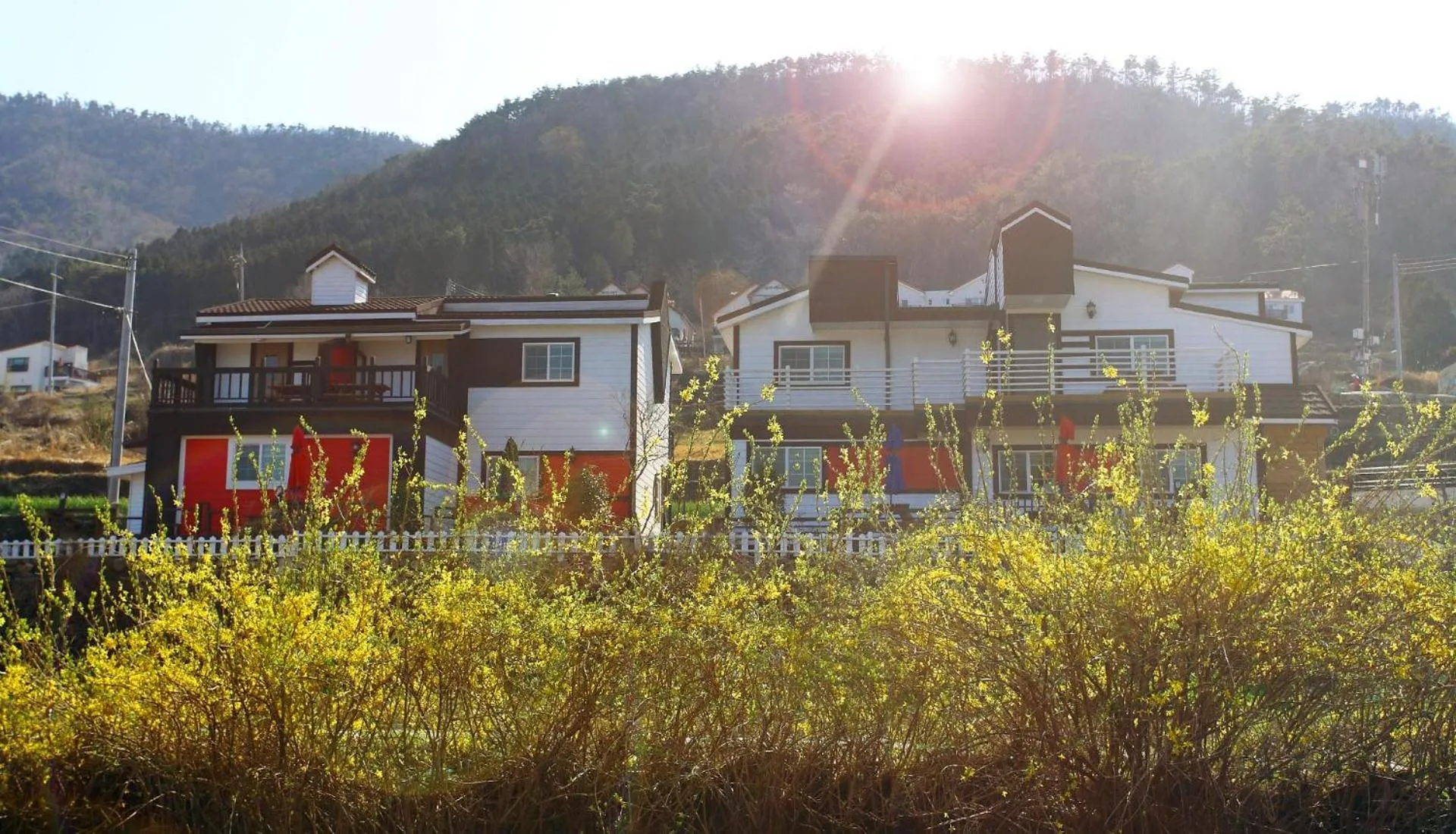 Other in Bluesean Pension