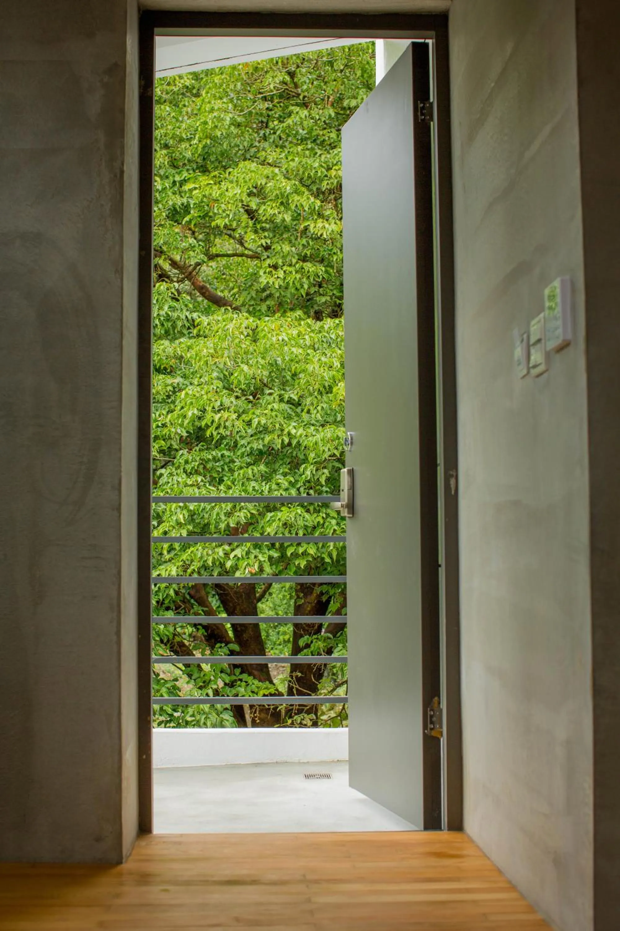 Mountain view in Ruisui Sunshine Hot Spring B&B