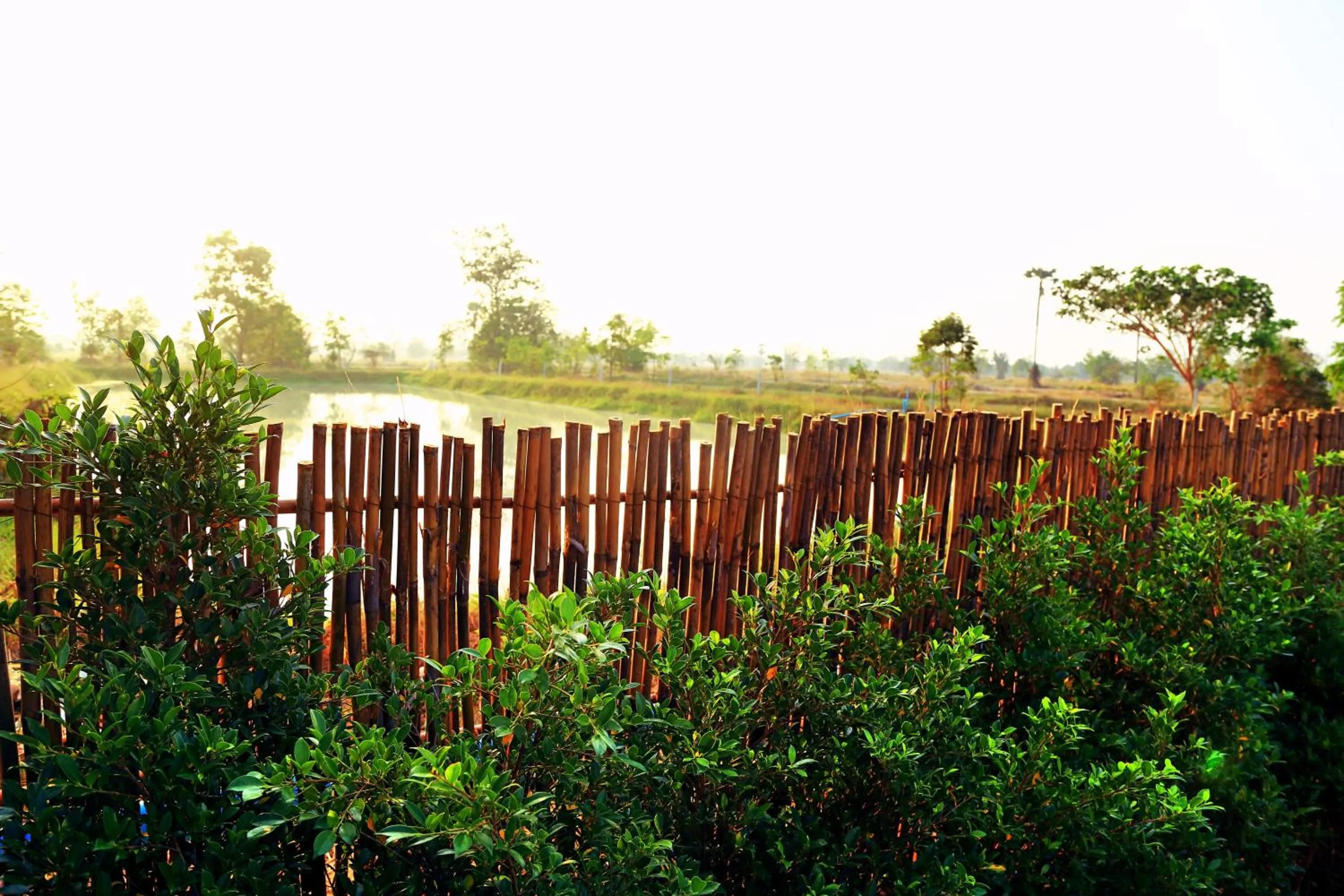 View (from property/room) in Sawasdee Sukhothai Resort