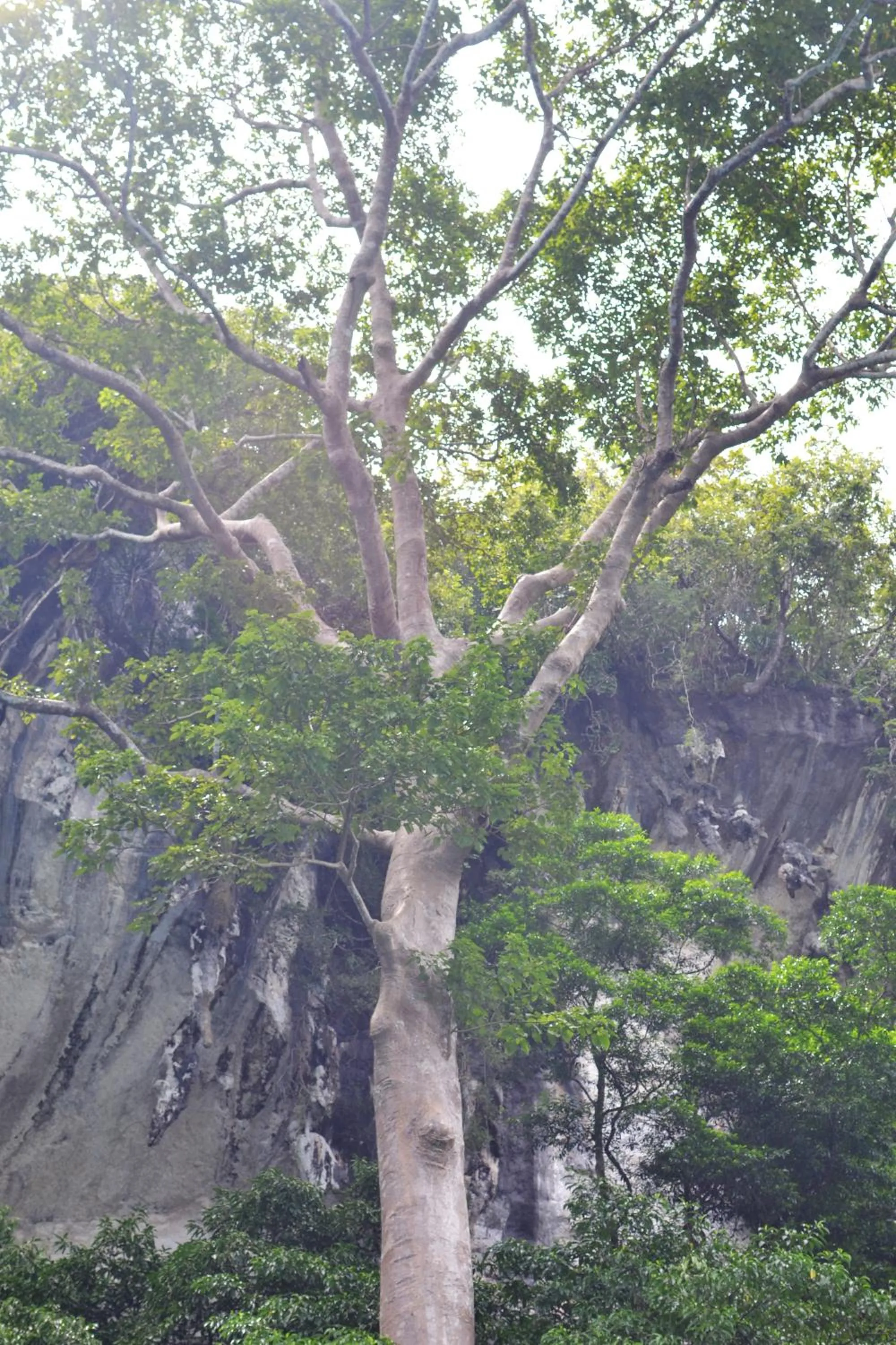 Natural landscape in Khao Chang View Resort