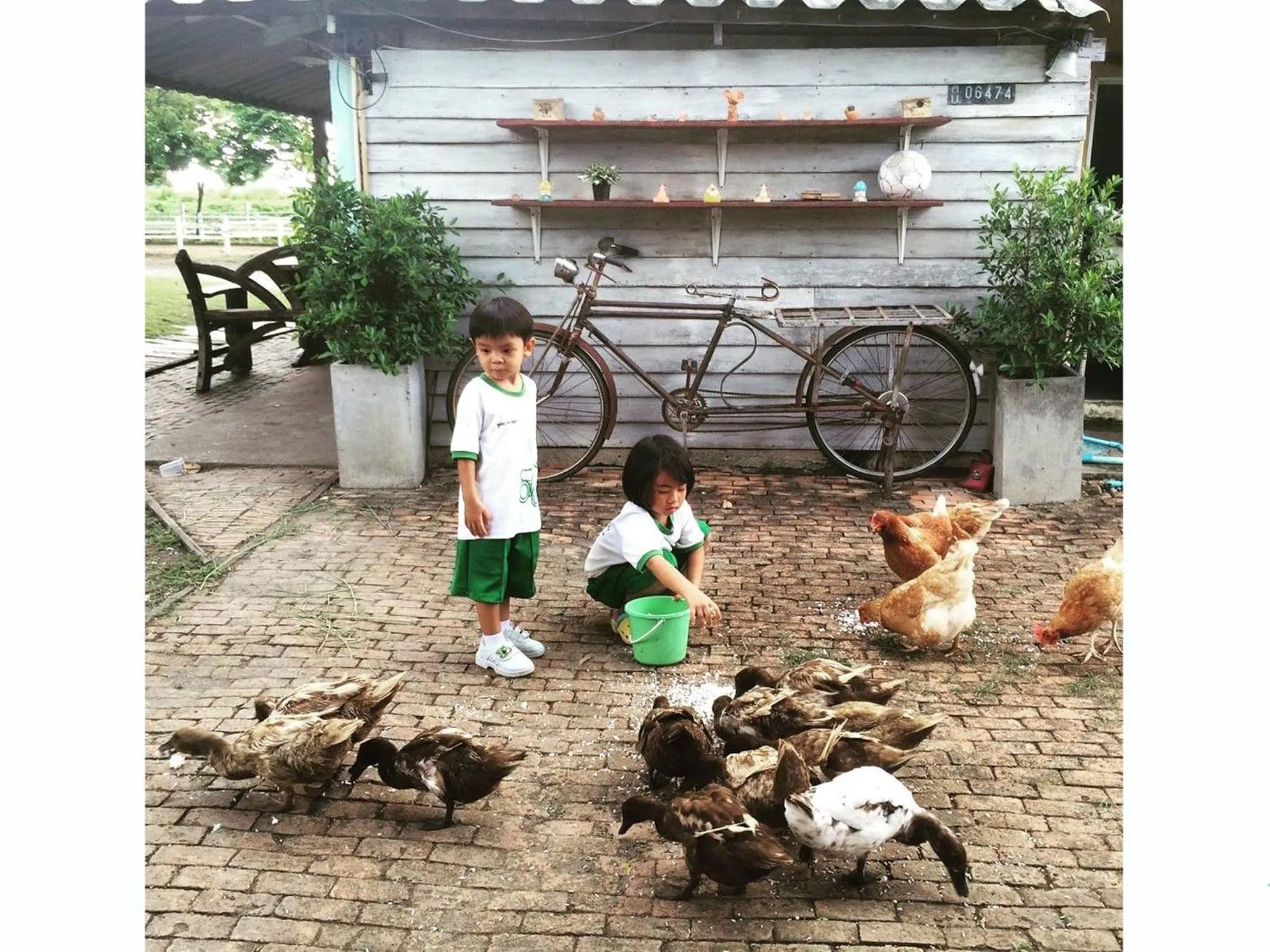 Activities in Wanlapa Farmstay