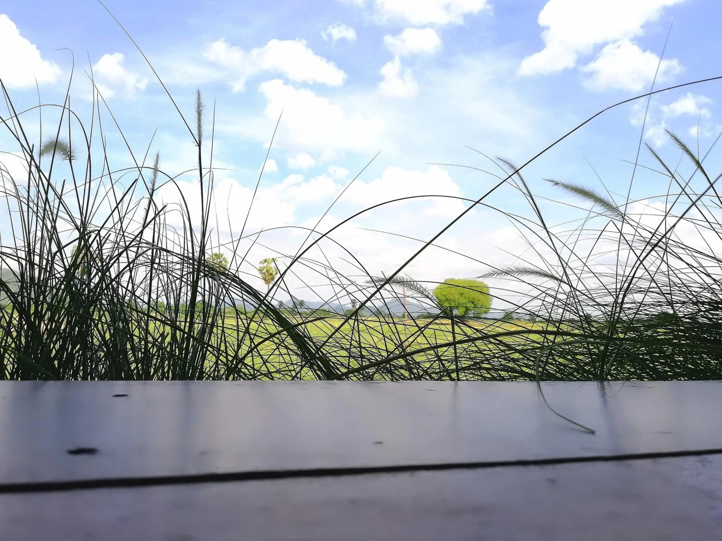 Photo of the whole room in Wanlapa Farmstay