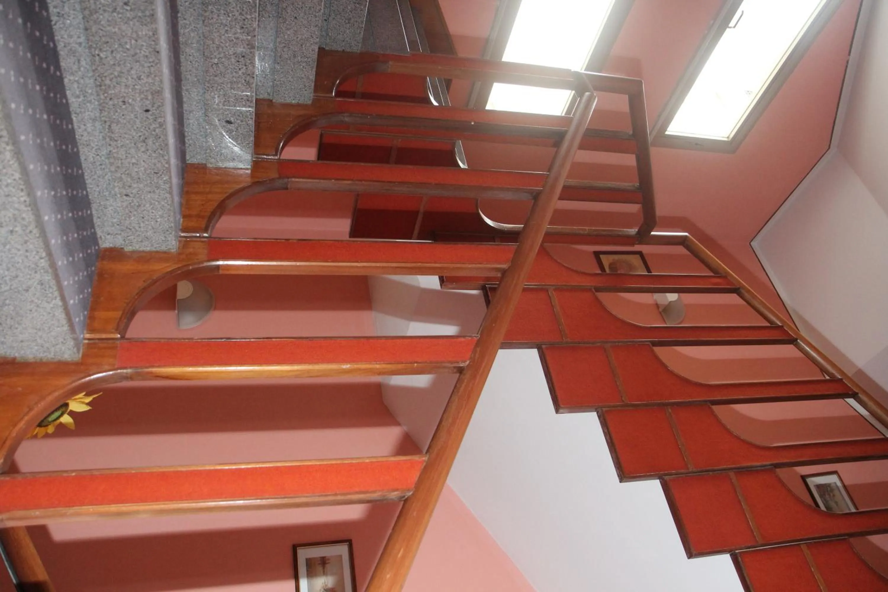 Area and facilities in Hotel Cristallo