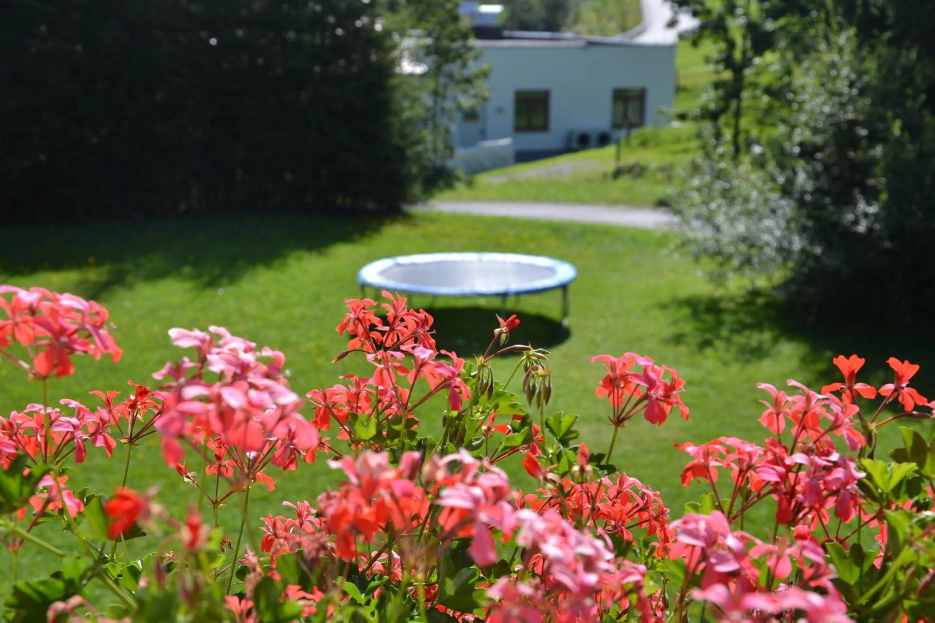 Garden in Holiday-Appartements