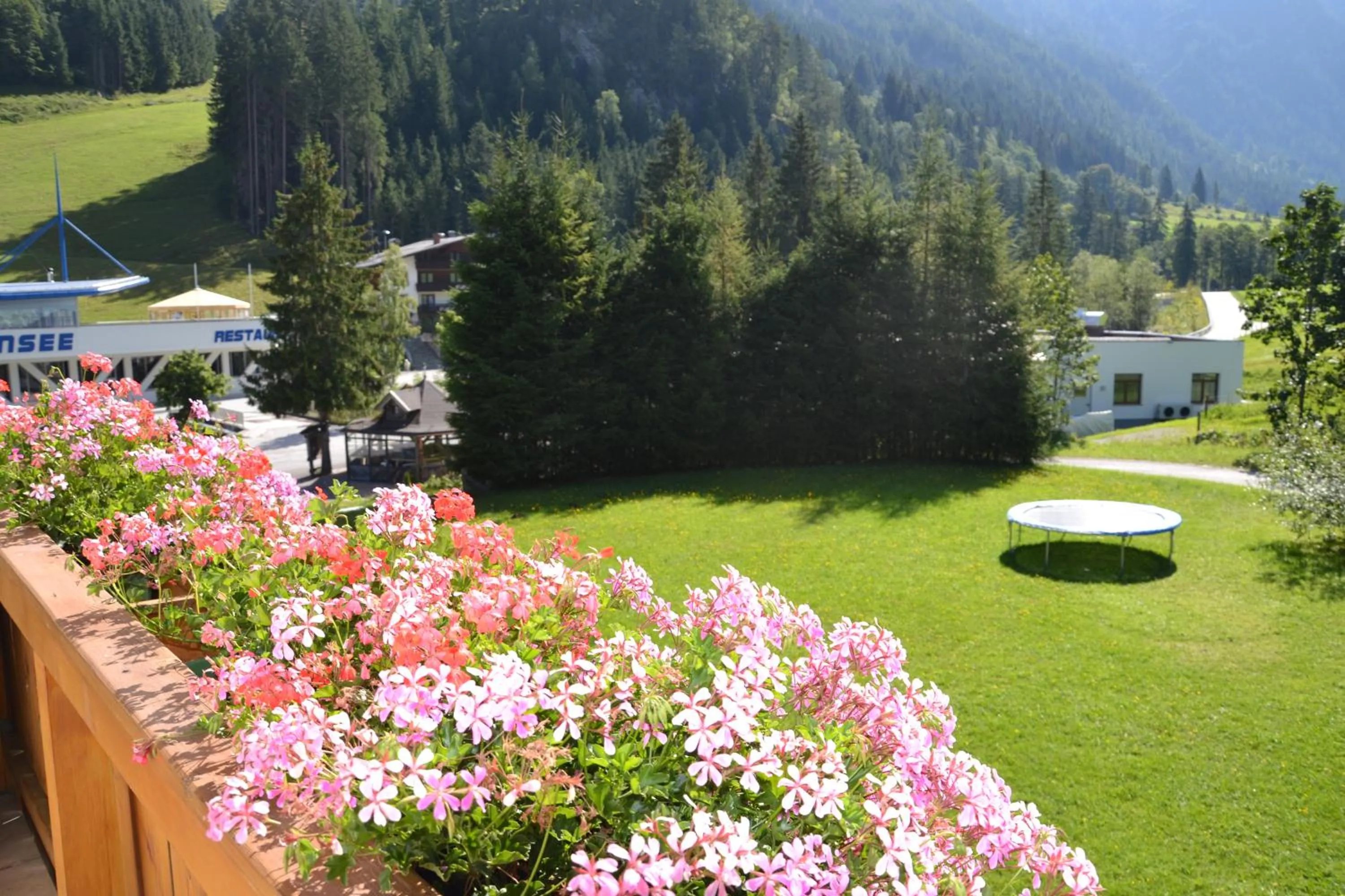Garden in Holiday-Appartements