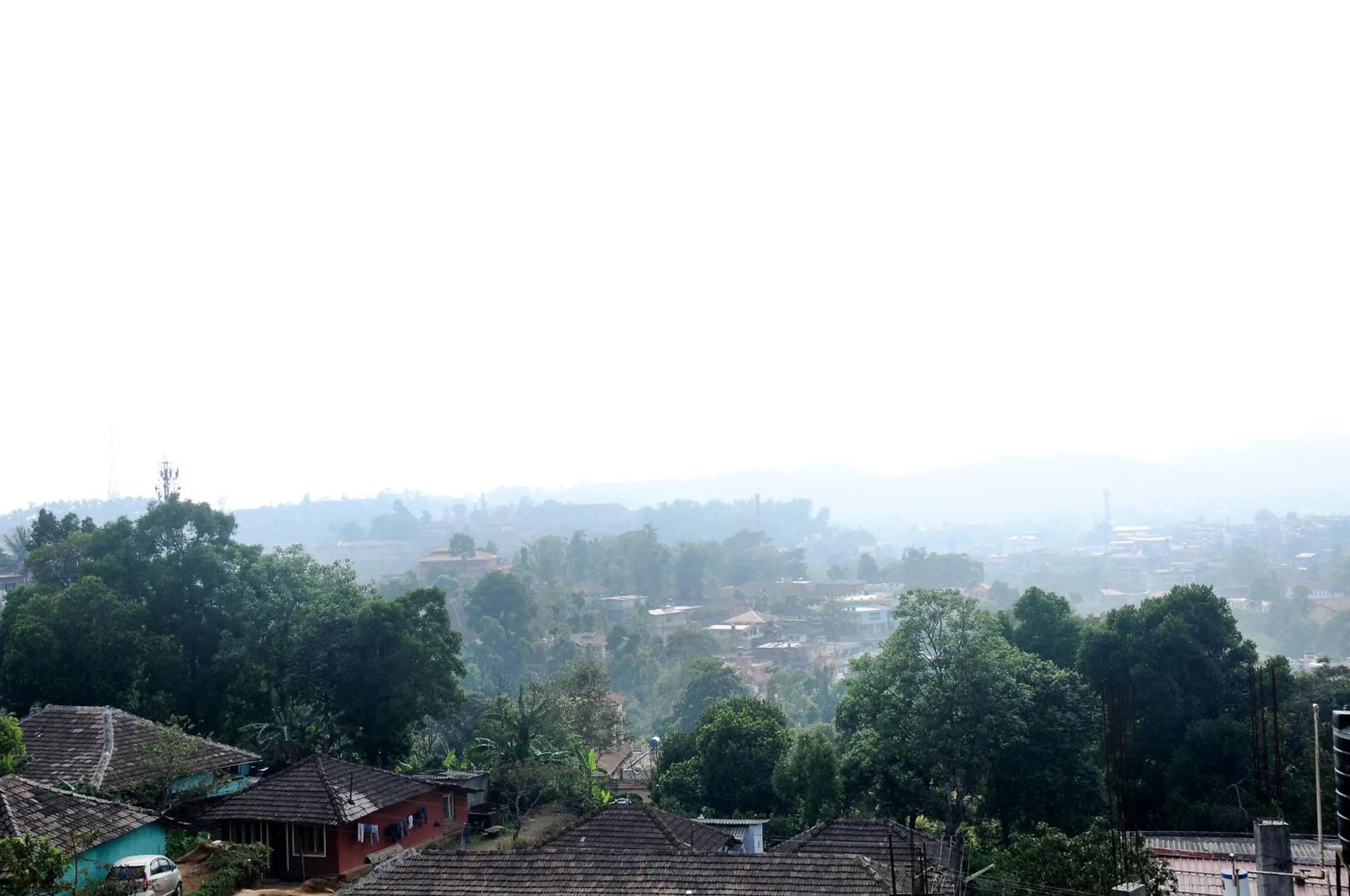 Natural landscape in Holidayincoorg Orchid Villa