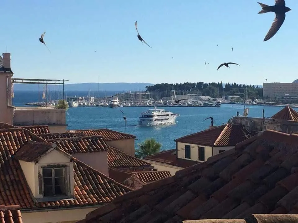 Sea view in Apartment Baćo