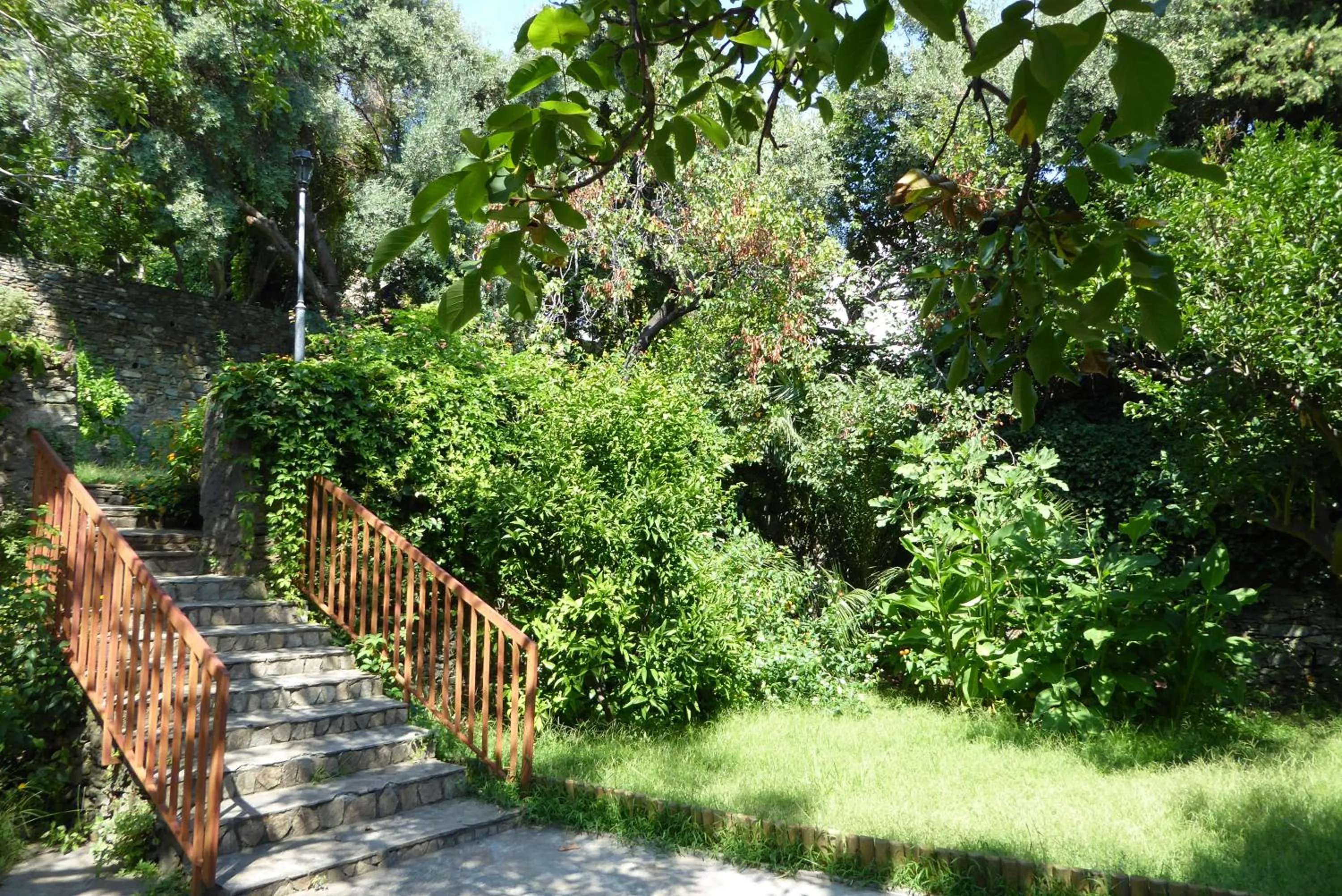 Garden in Hotel Cyrnea